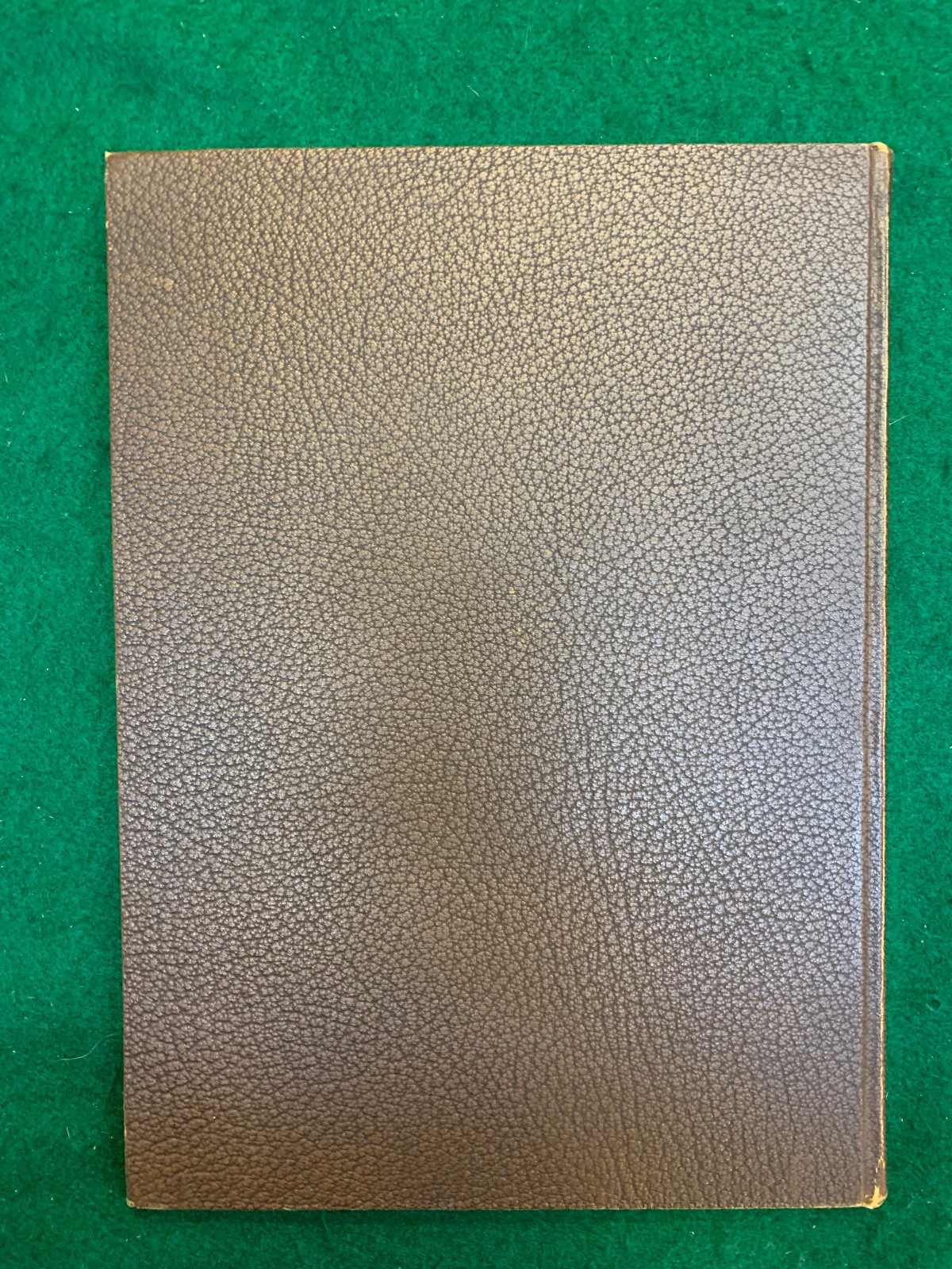 1922 Alhias Alexandria High School Yearbook. Minnesota. V5 136 pages. 8″ x 11″