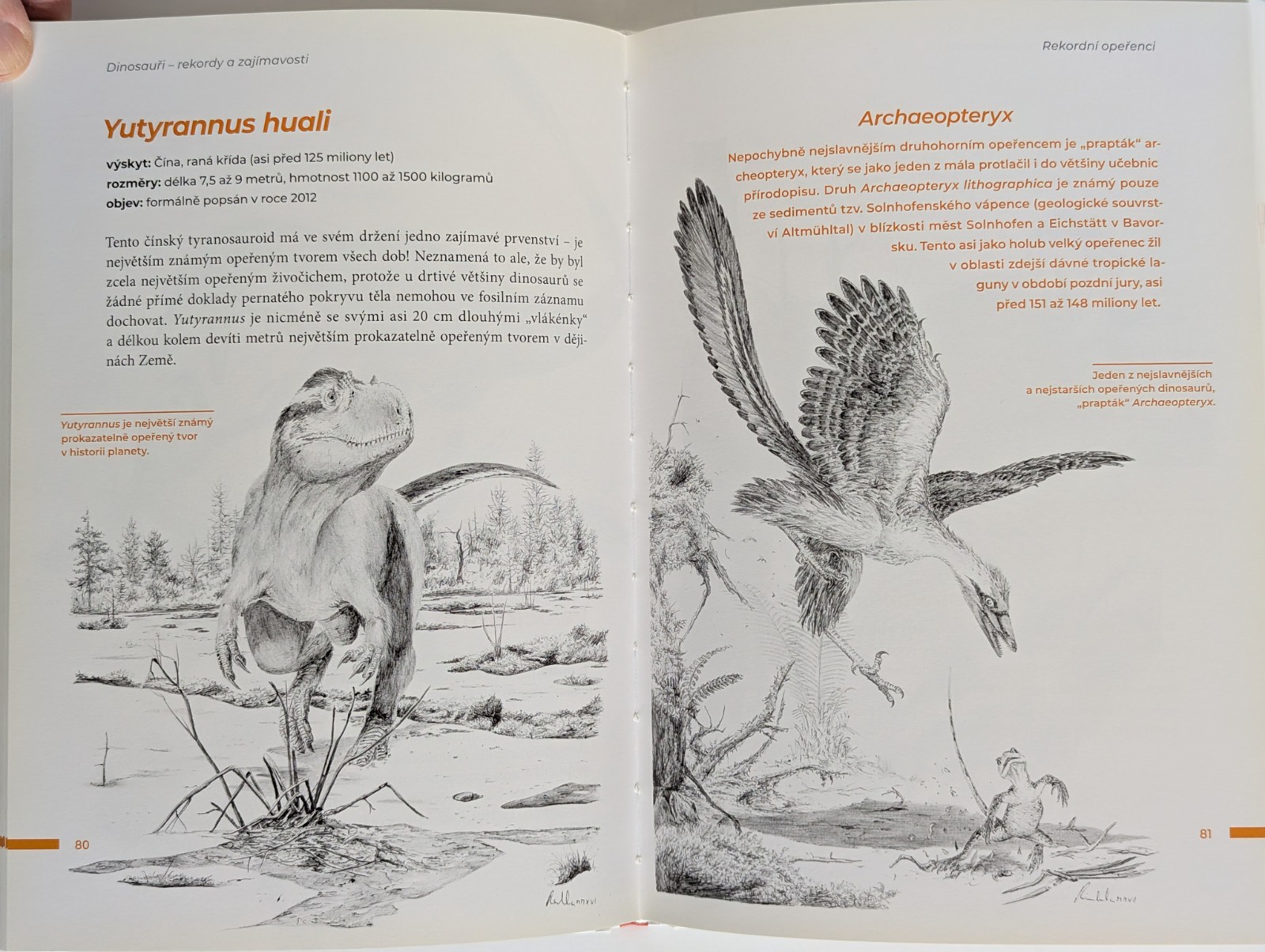 Tyrannosaurus rex Lot of 4 Czech Books on Dinosaurs Paleontology Vladimír Socha