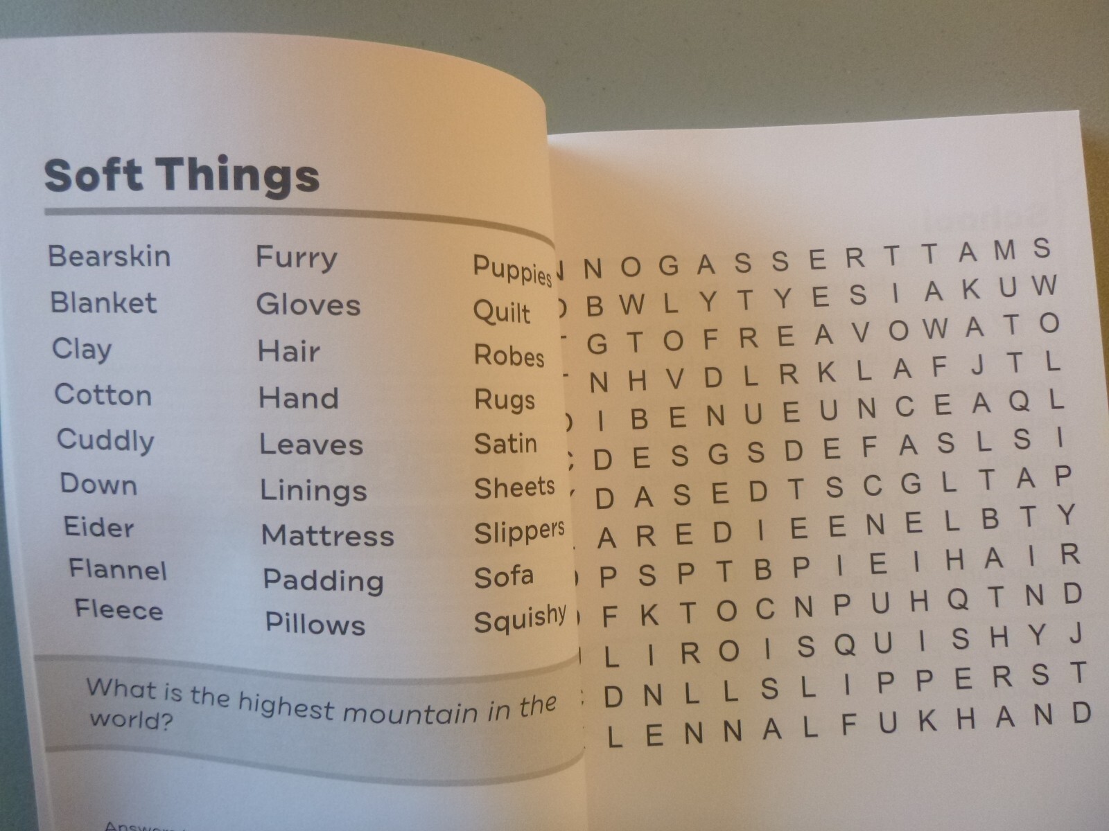 Extra Large Print Easy Word Search for Seniors by Rockridge Press