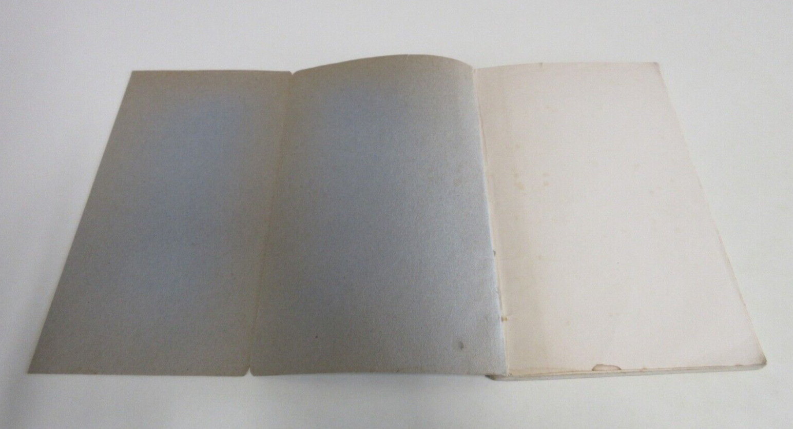 Economic Principles: Manual of Political Economy – Max Hirsch – 78 Pages – 1942