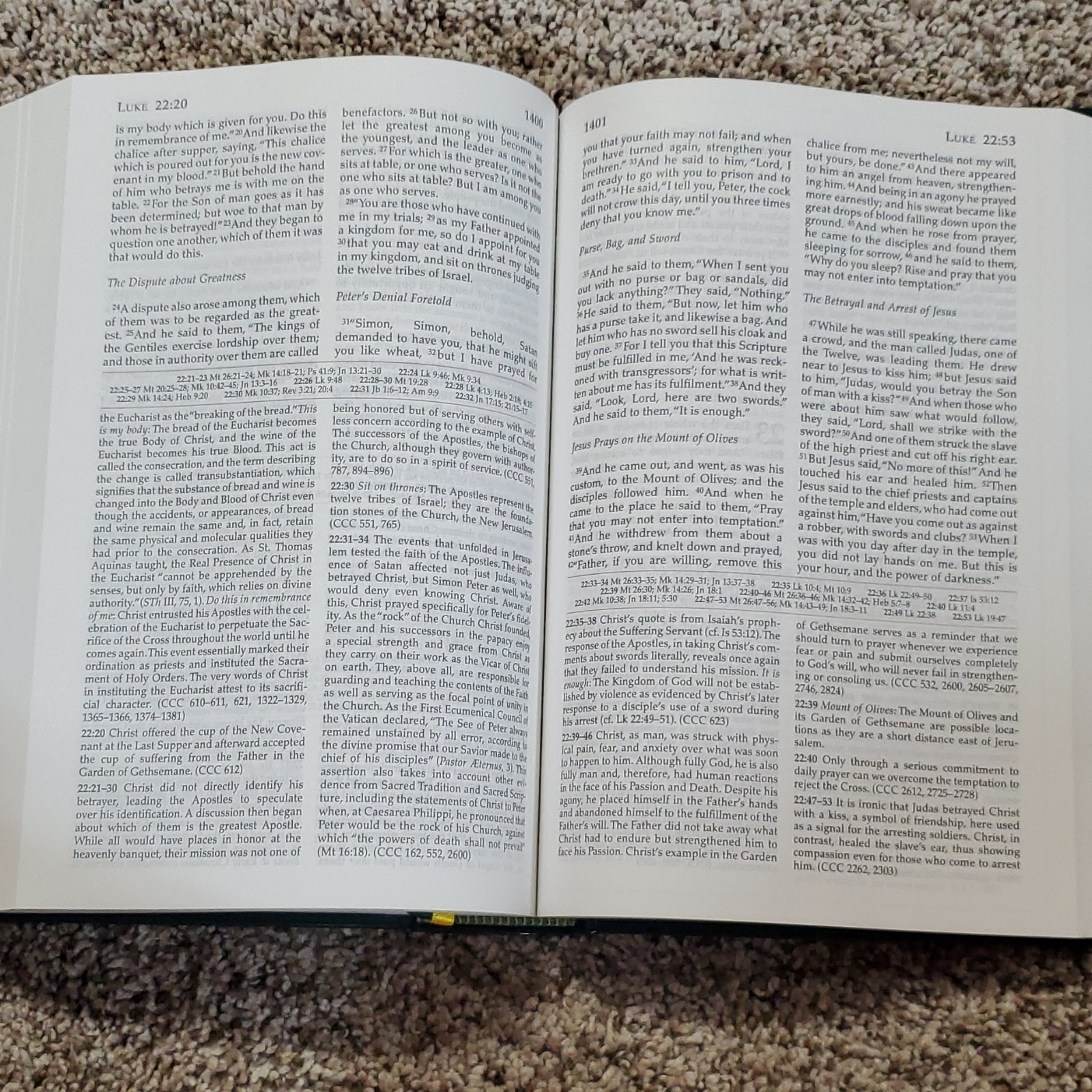 Didache Bible + Great Adventure Ascension Press Bible