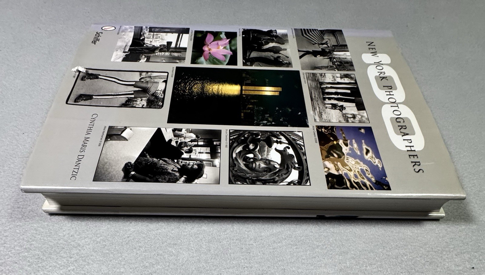 100 New York Photographers by Cynthia Maris Dantzic (2009, Hardcover)