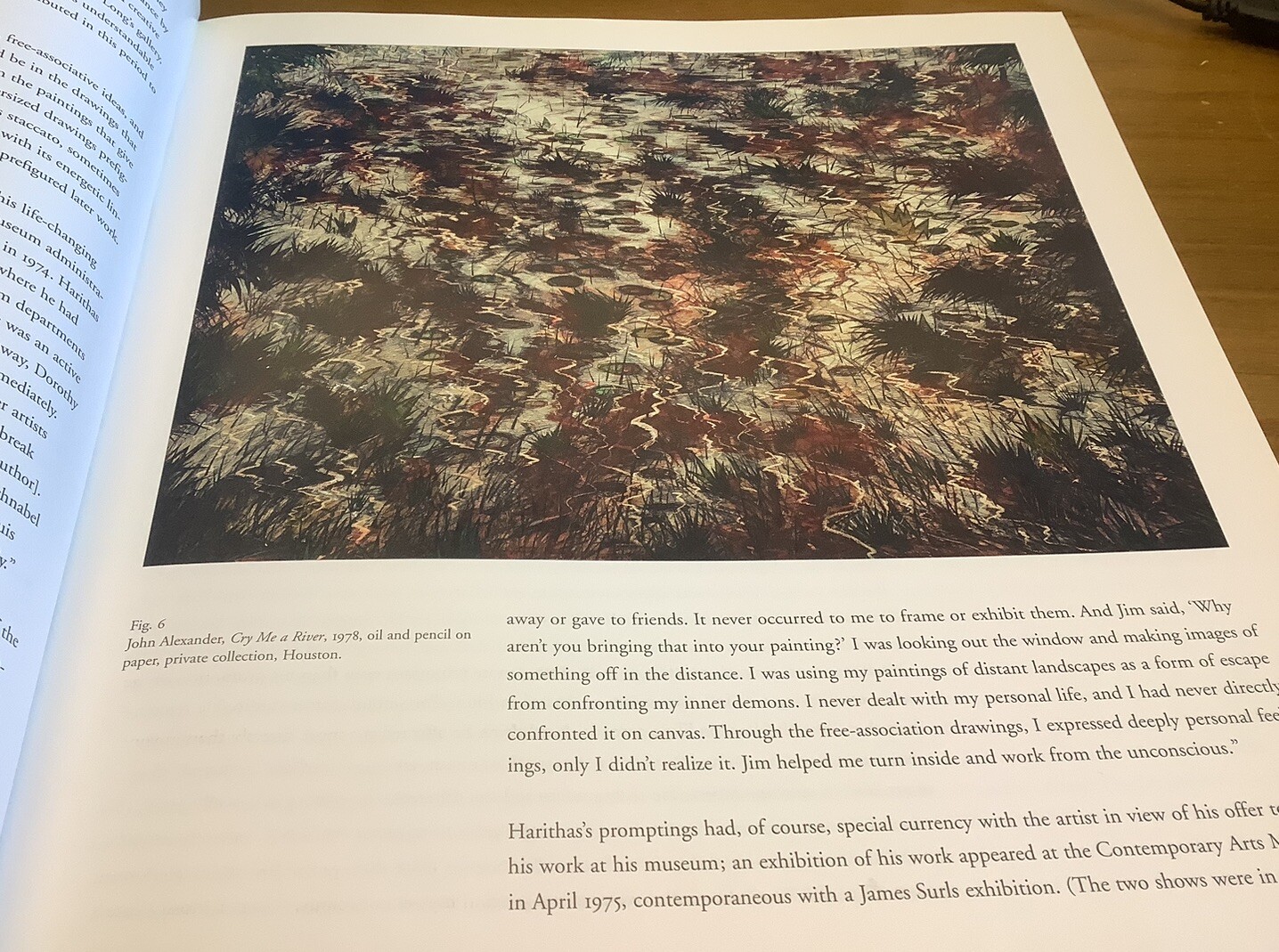 John Alexander : A Retrospective by Jane Livingston and John Alexander (2007,…