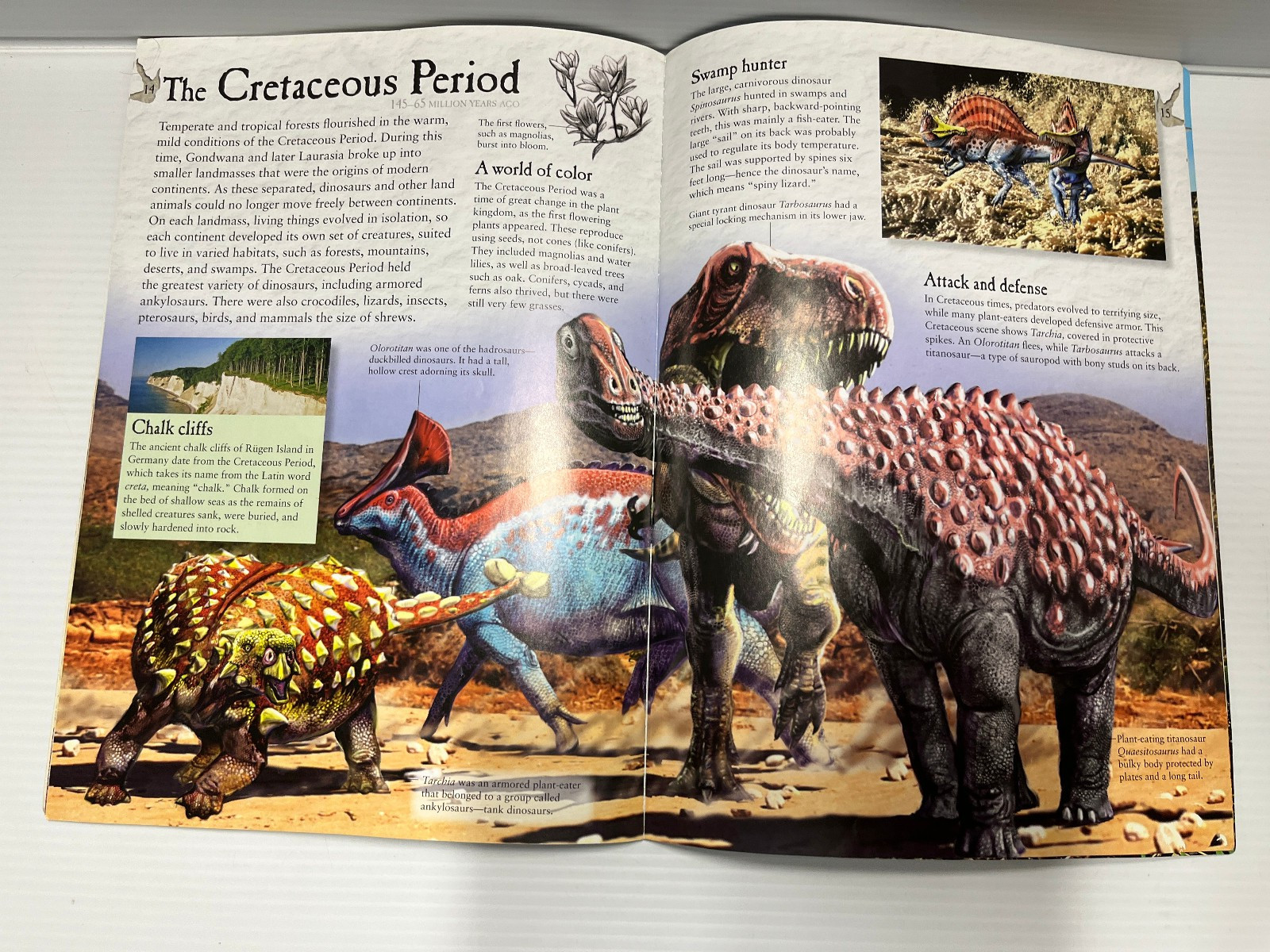 3 Dinosaurs Curriculum 3 Kids Student Information Home school Classroom Lot of 6