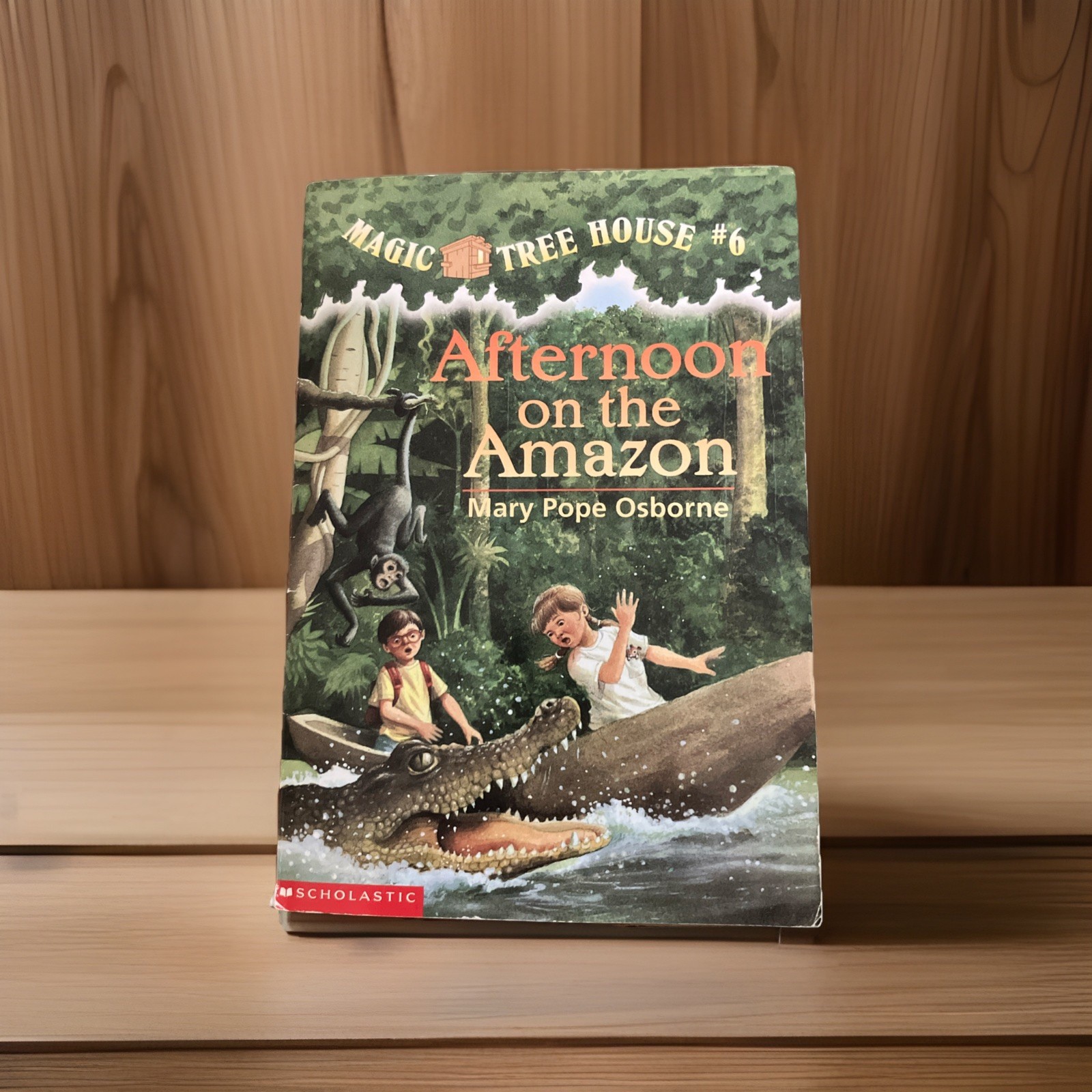 Magic Tree House “Afternoon on the Amazon” #6 Merlin Missions Vintage, 1995 Pub