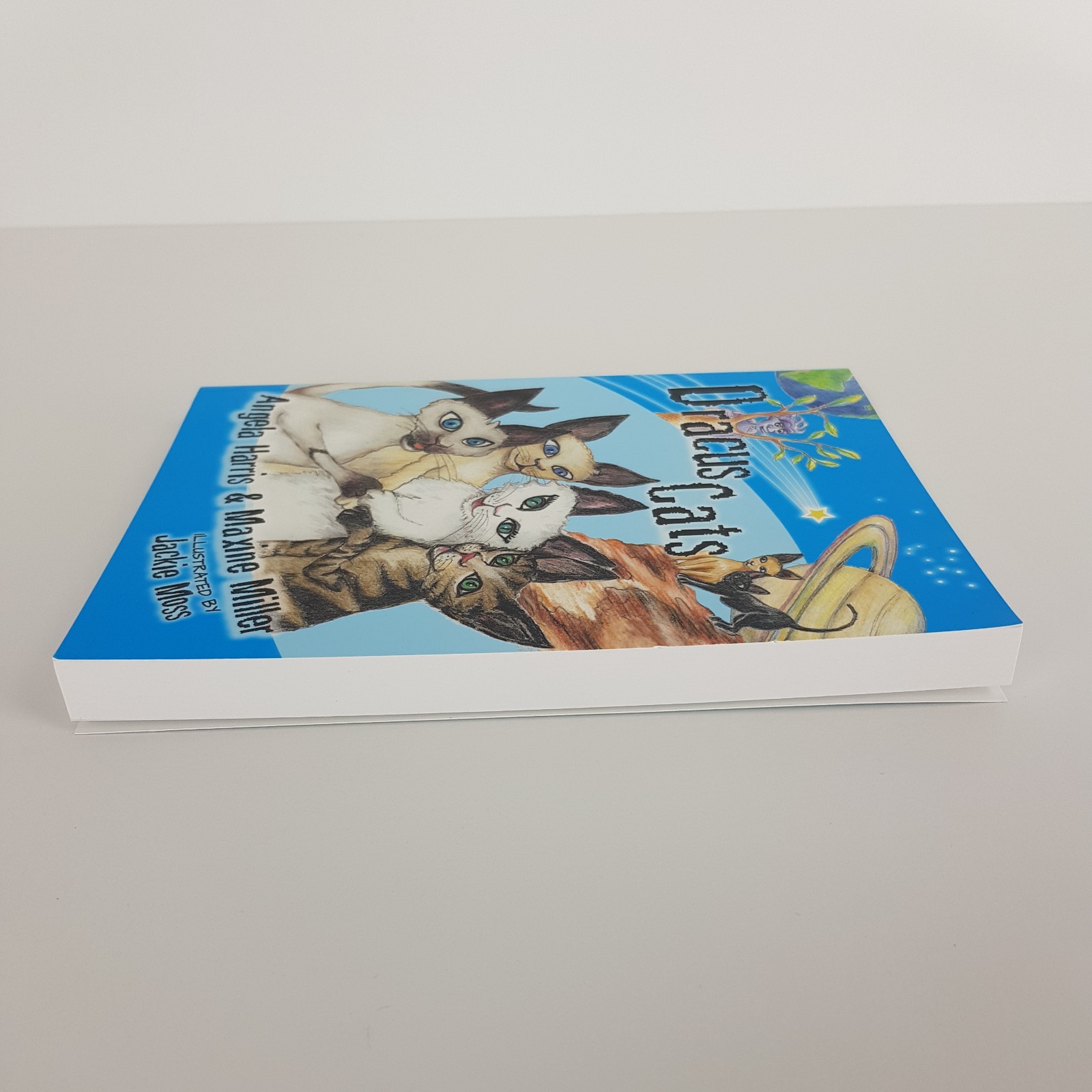 Dracus Cats By Angela Harris & Maxine Miller Children’s Story 8-10 Years