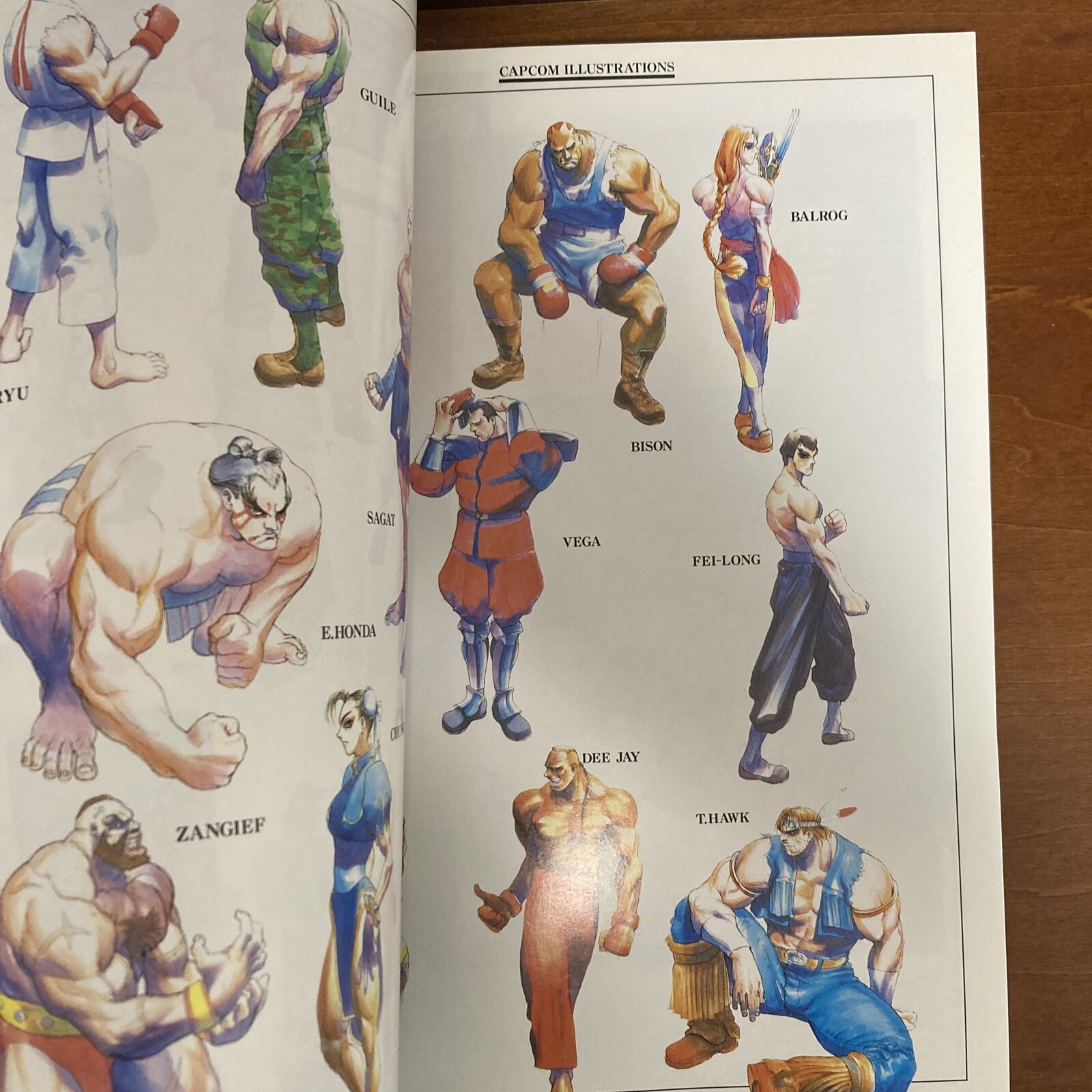Capcom Illustrations Art Book
