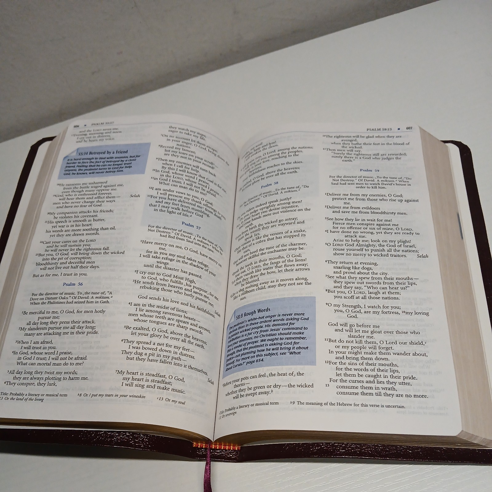 The Student Bible New International Version 1996 Edition Burgundy Bonded Leather