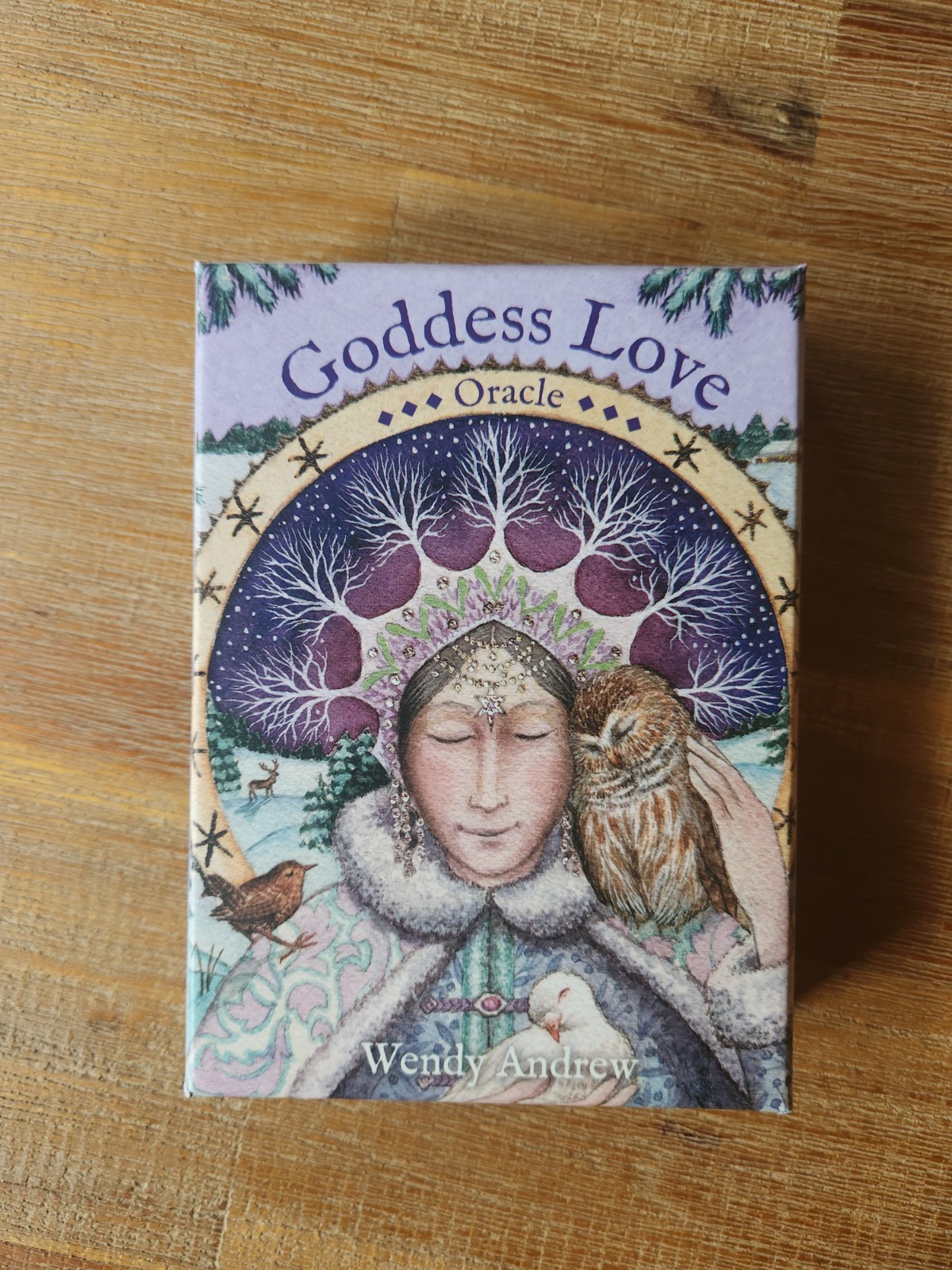 Goddess Love Oracle by Wendy Andrew (2021, Cards,Flash Cards)