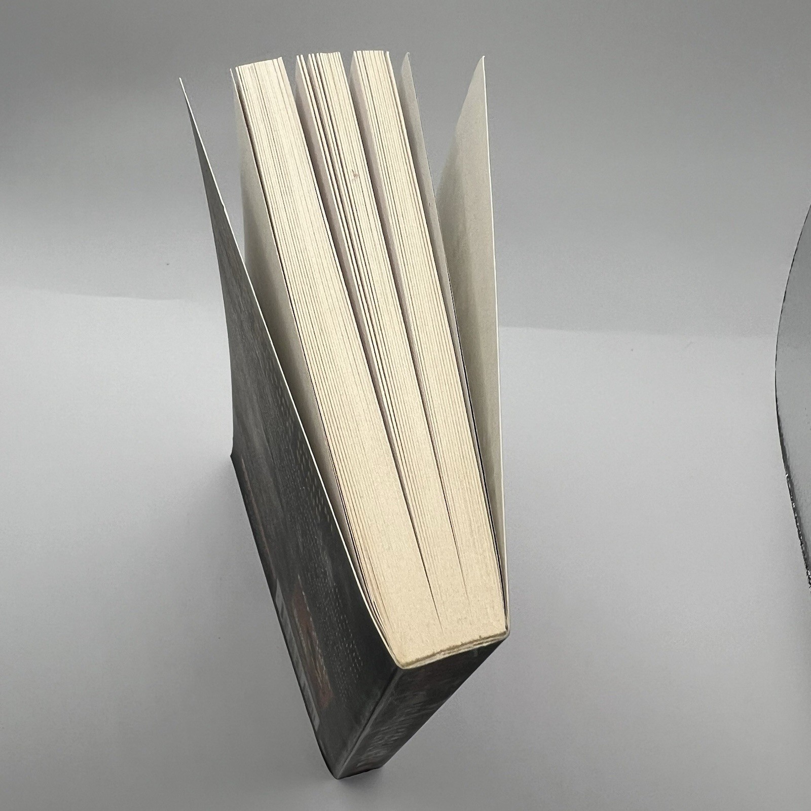 Hunger Games Trilogy Set of 3 Mixed Books – 2 Hard Cover Books and 1 paperback