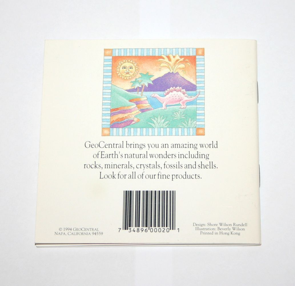 Dig into Fossils Kids Science Booklet Guide Dinosaurs Paleontology GeoCentral
