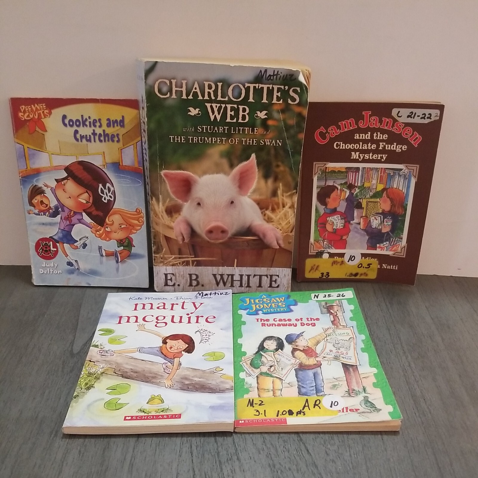 Lot of 10 Mixed Random Children’s Books and Young Adult Novels, Classic Stories