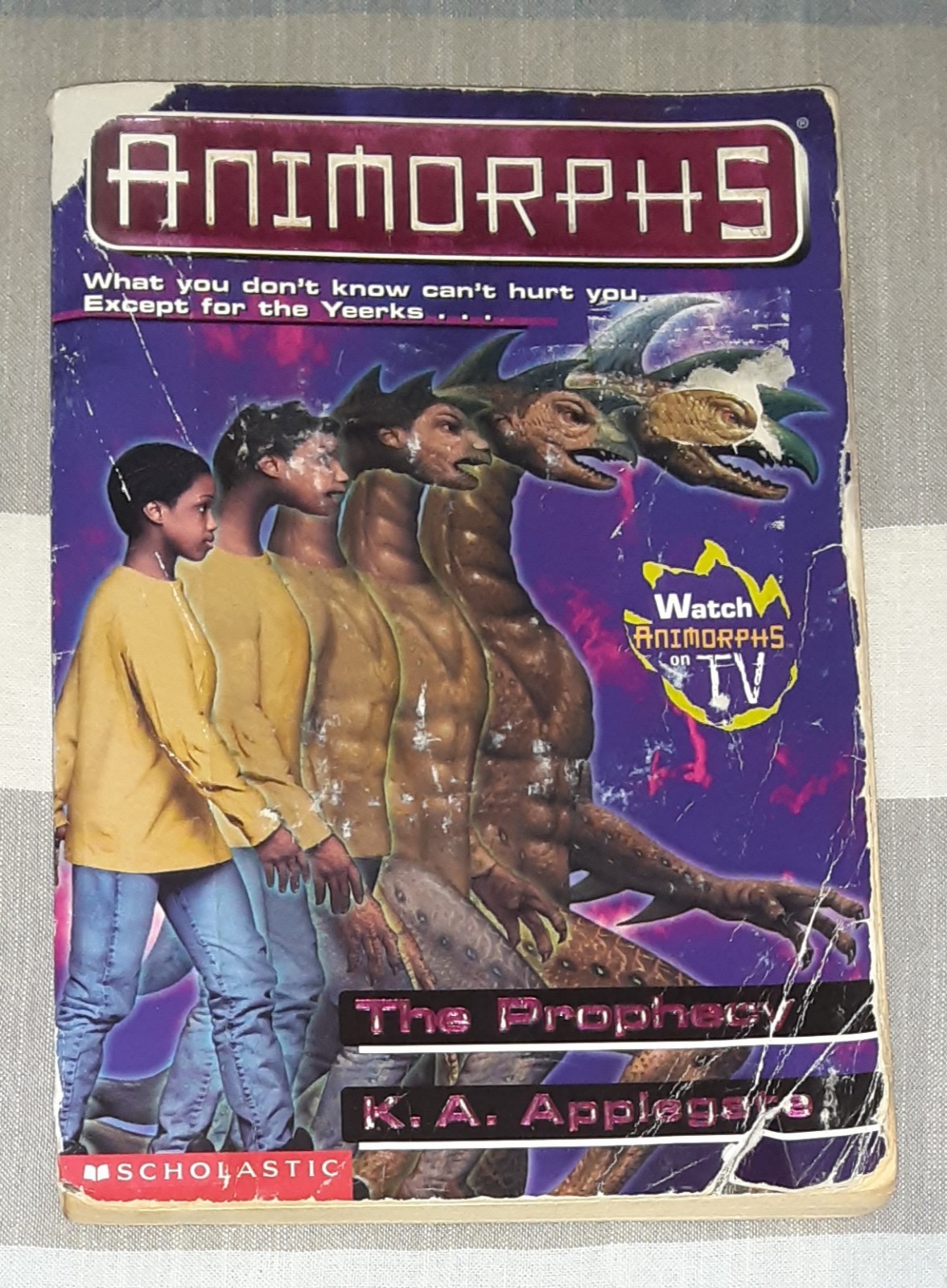 Animorphs Book Lot of 21 (K.A. Applegate, Paperback)