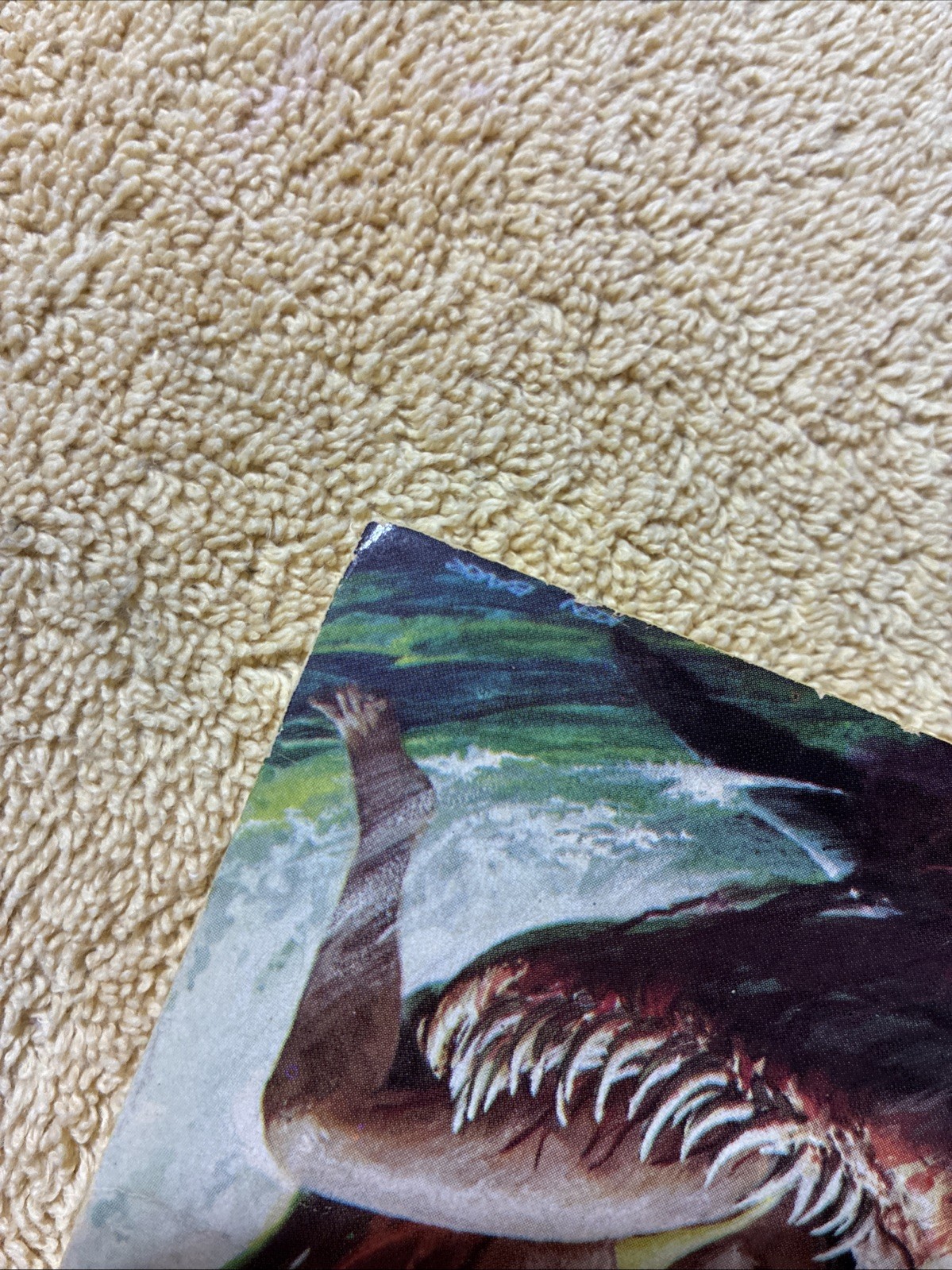 Killer Sharks: The Real Story by Brad Matthews Vintage 1977 PB Shark Book V RARE