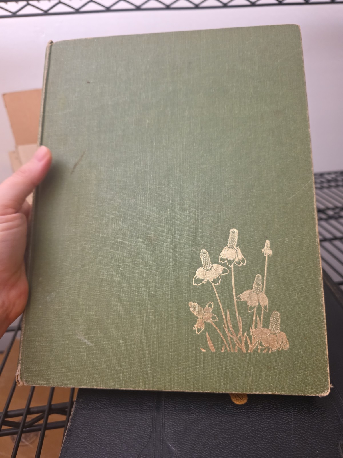 Wildflower Portraits Eloise Reid Thompson Univ of Oklahoma 1964 HB VG Book Plant
