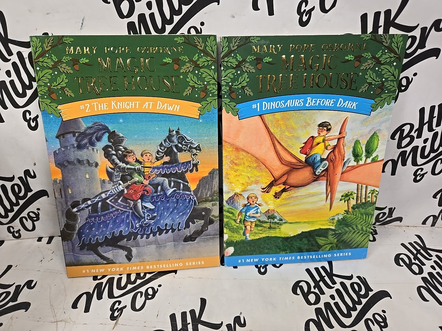 Magic Tree House & Ivy & Bean Chapter Book Lot of 22 Early Reader Books Ages 6-9