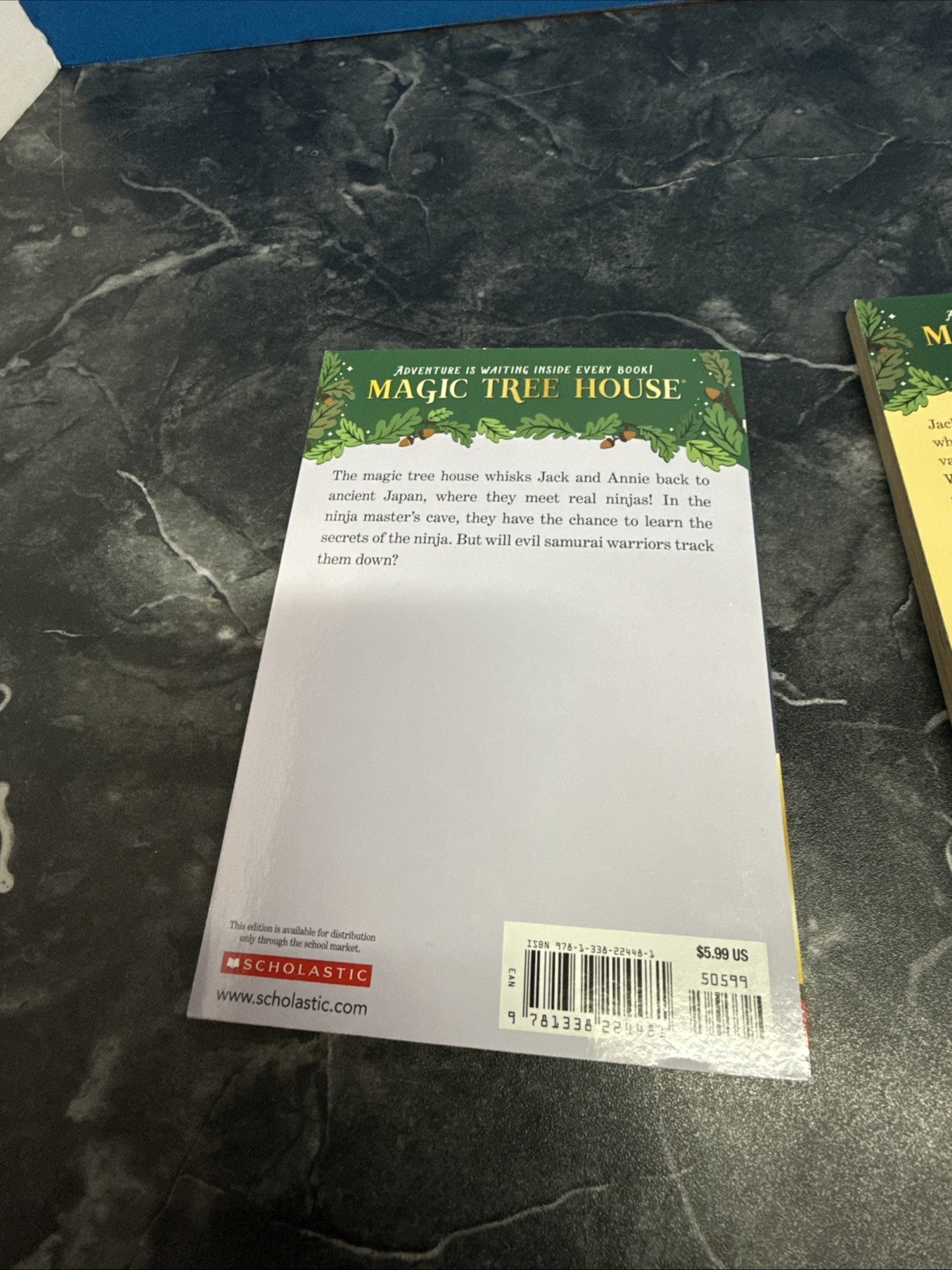 Magic Tree House 11 Book Collection