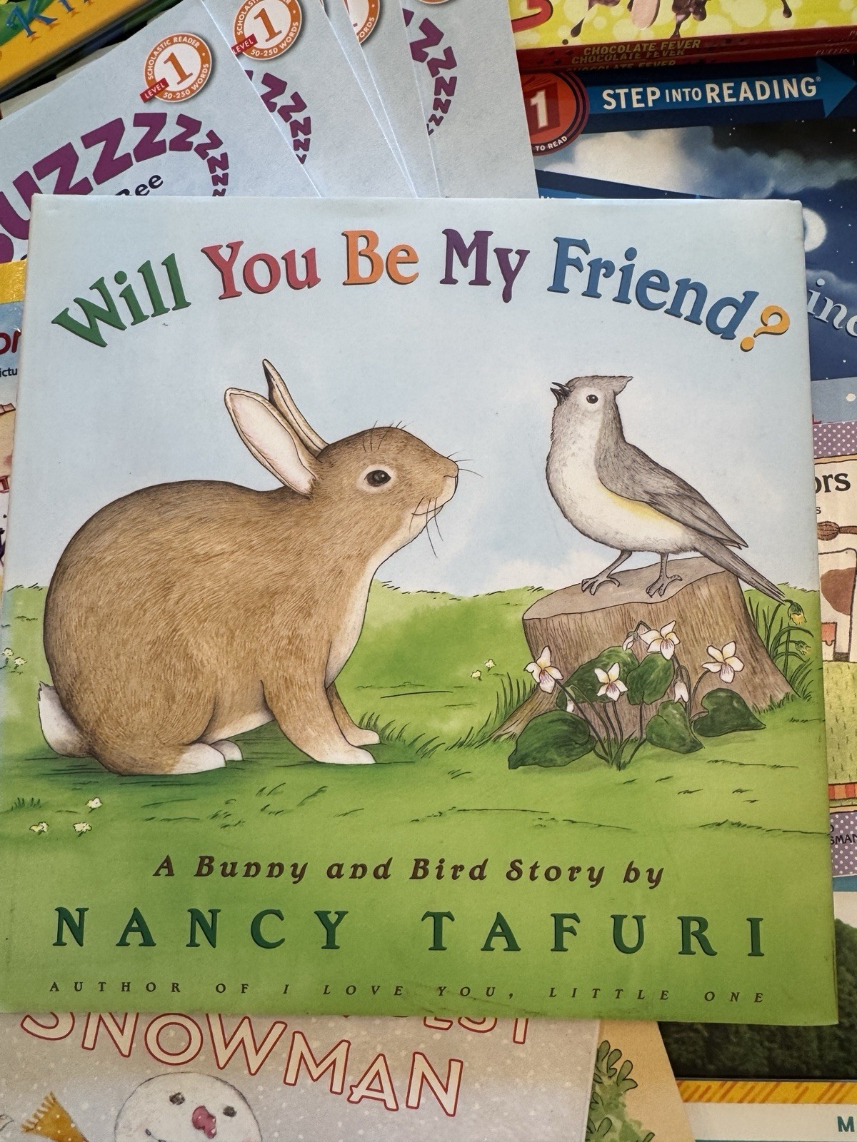 K-2 Teacher Classroom Library Lot SEL Early Readers Dinosaur, Read Aloud
