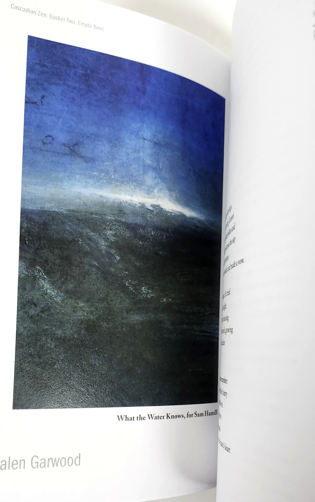 Cascadian ZEN Vol. One by Paul Nelson Ed. (1st Ed 2023 TP) Cascadia Here/Now EXC