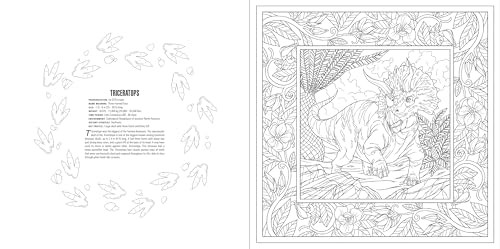 Animals: A Smithsonian Coloring Book Box Set, Smithsonian Institution, Excellent