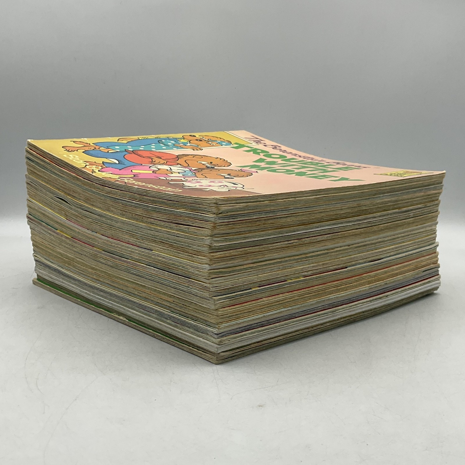 Lot of 25 Berenstain Bears Paperback Books by Stan & Jan Bernstein Various