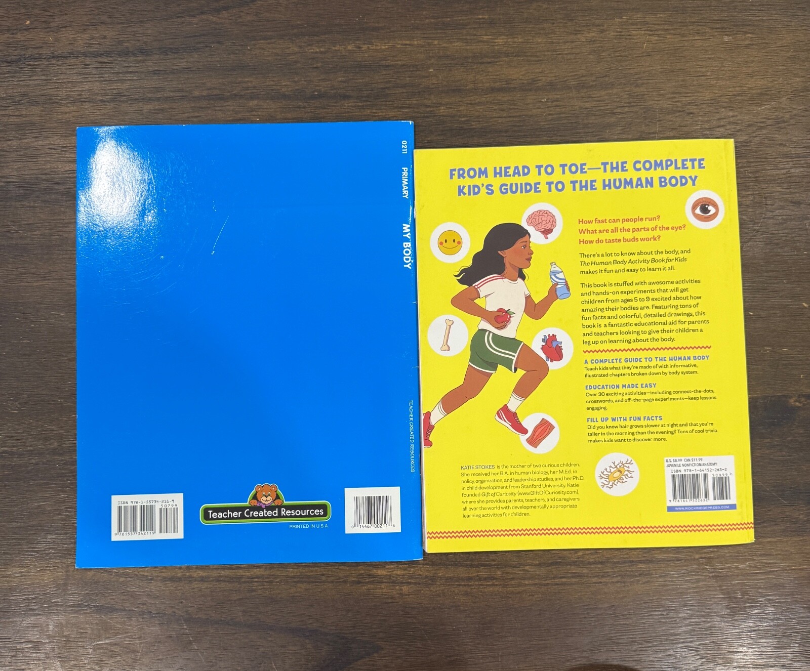 Human Body Activity Book for Kids : Hands-On Fun for Grades K-3 by Katie Stokes