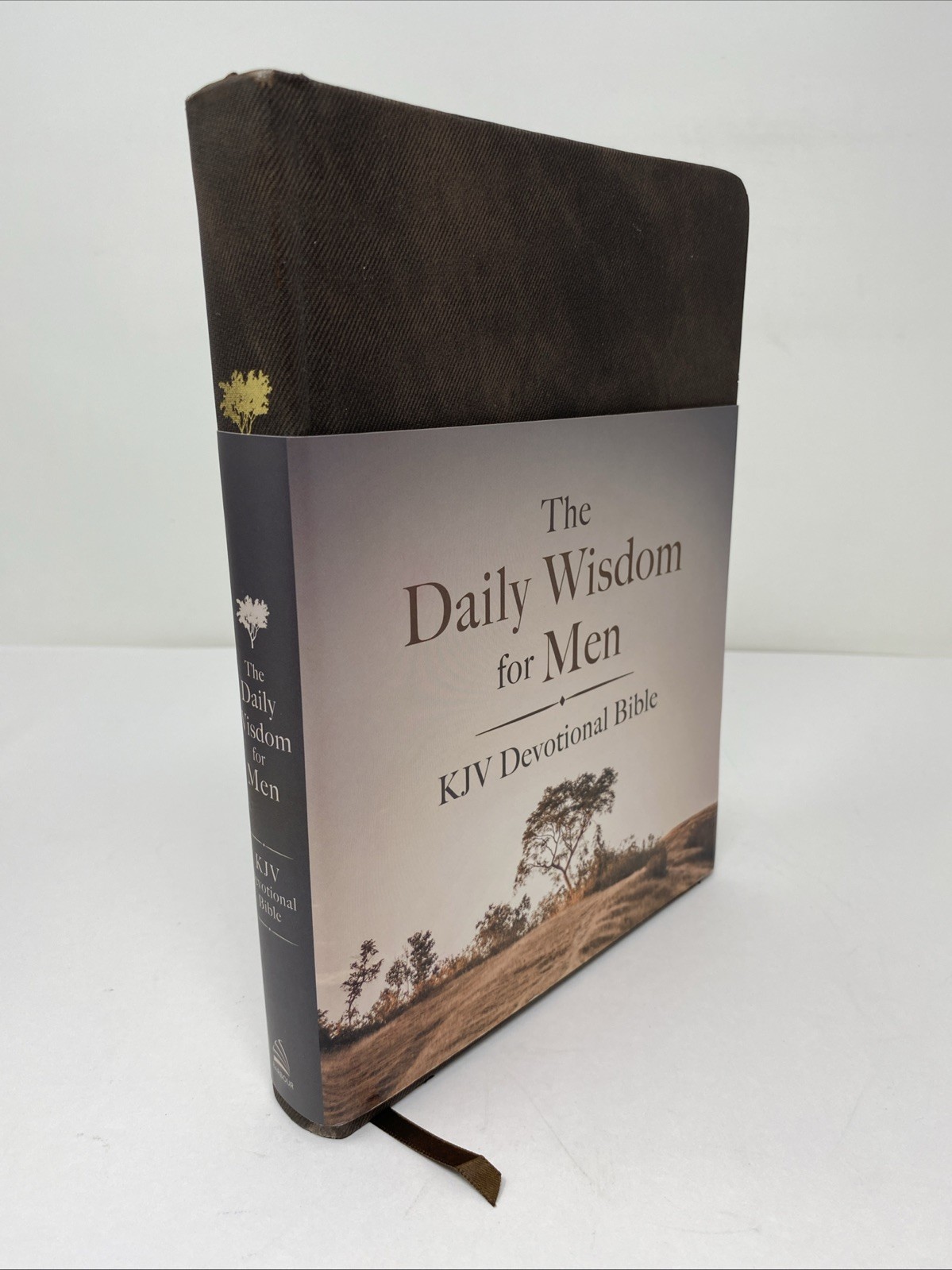 Daily Wisdom for Men KJV Devotional Bible 2021 Clean Pages Hardcover