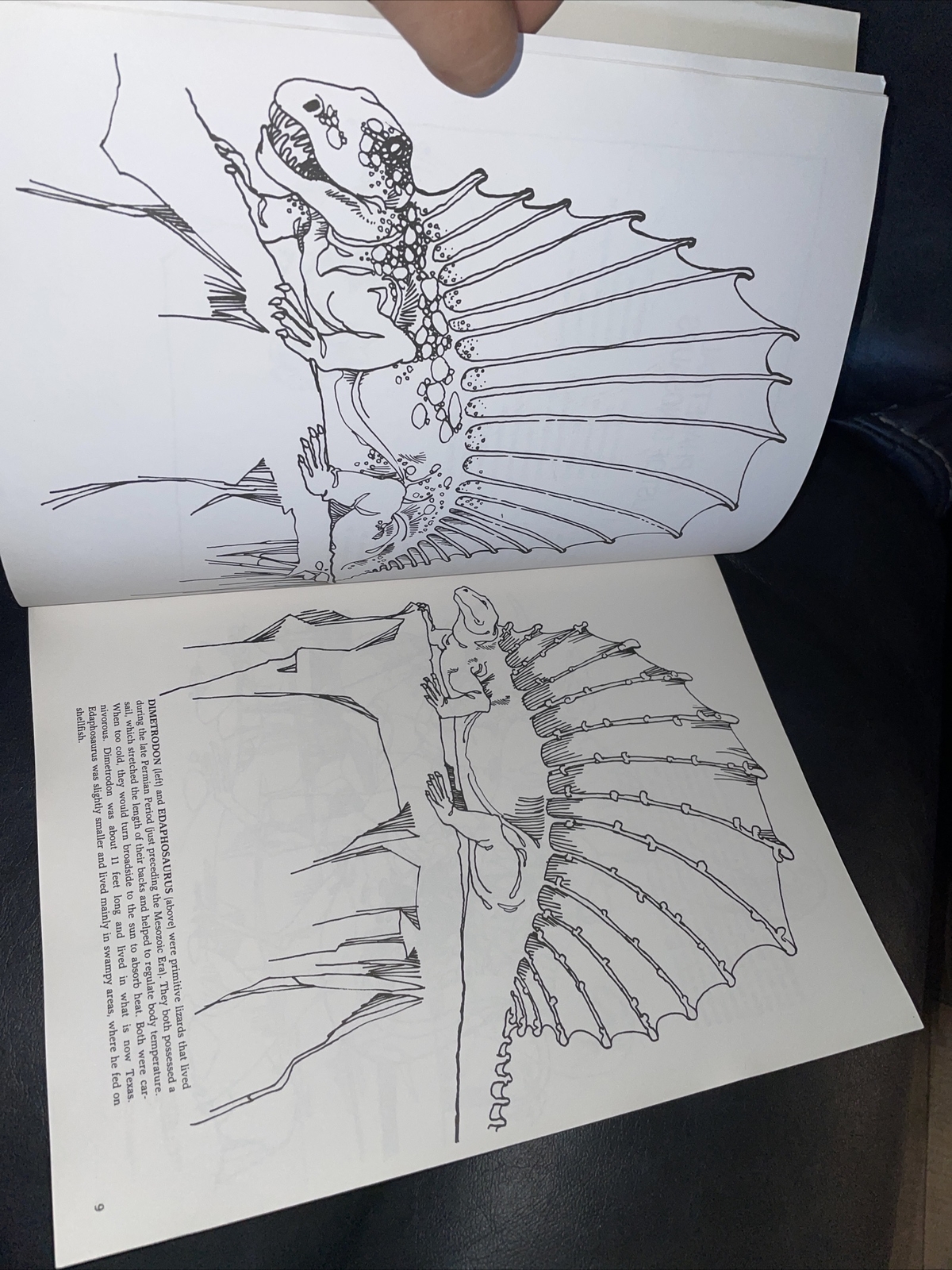 Dinosaur Coloring Book (Dover Nature Coloring Book) by Anthony Rao 90% Uncolored
