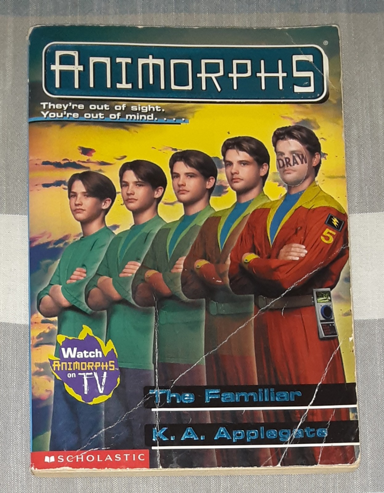 Animorphs Book Lot of 21 (K.A. Applegate, Paperback)
