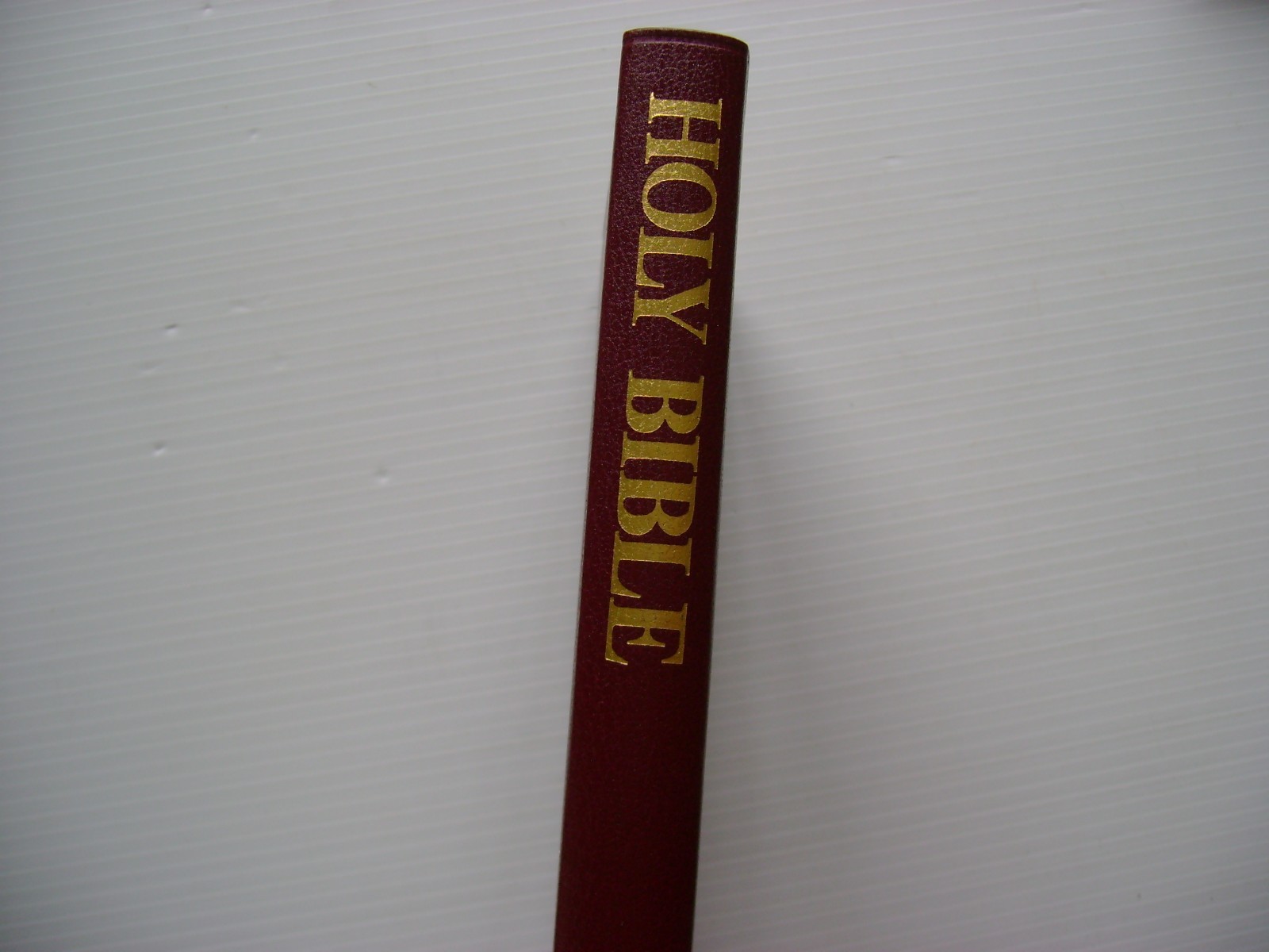 HOLY BIBLE & DAILY JOURNAL – The National Bible Press, NEW
