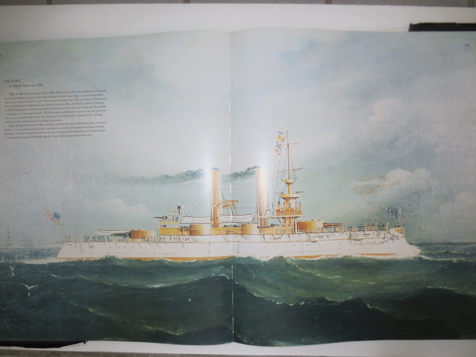 Fighting Ships 1850-1950