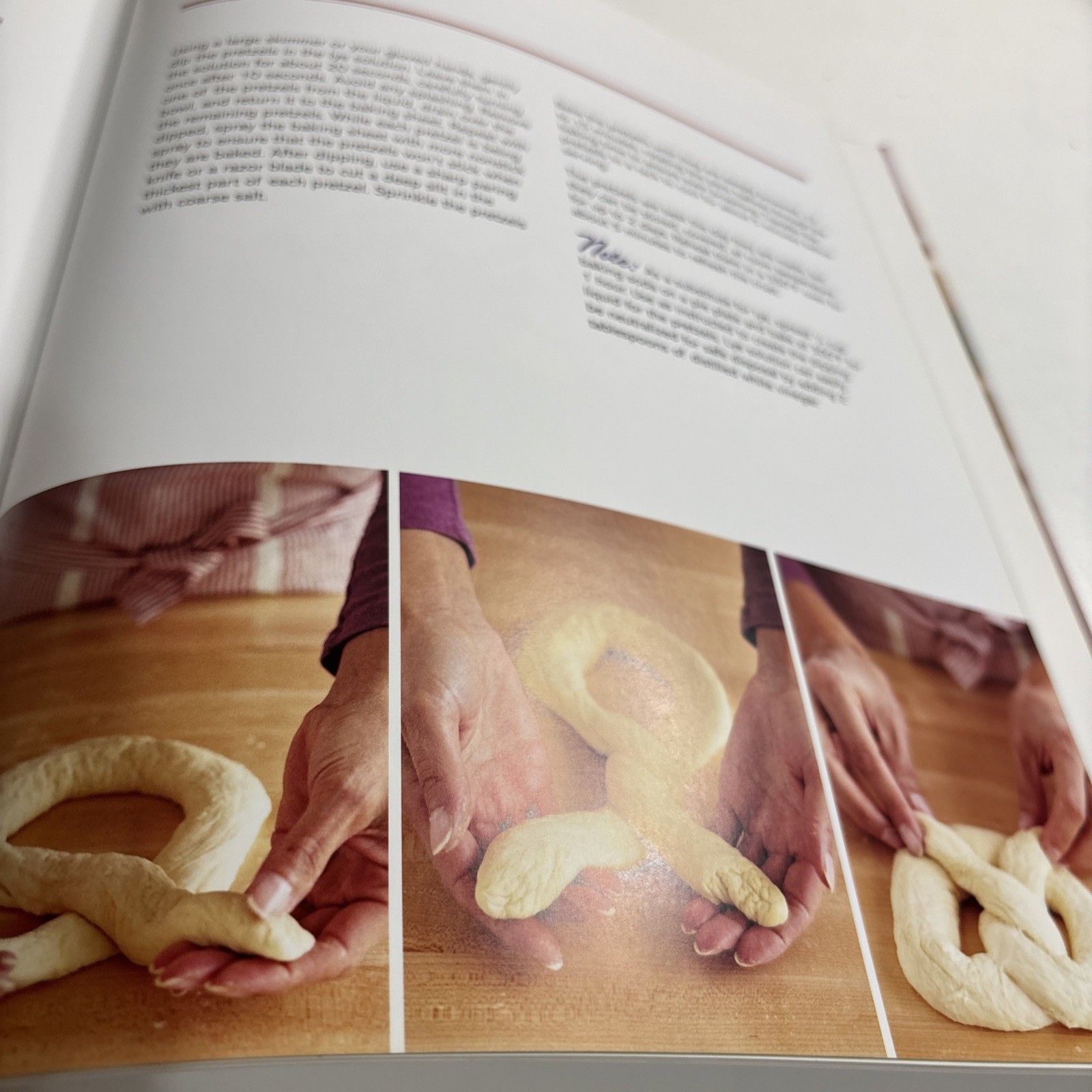 Artisan Jewish Deli at Home by Michael Zusman and Nick Zukin (2013, Hardcover)