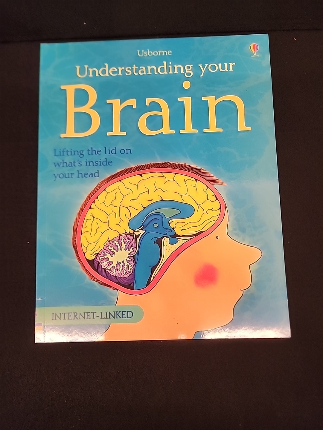 Understanding Your Brain – Internet Linked by Rebecca Treays