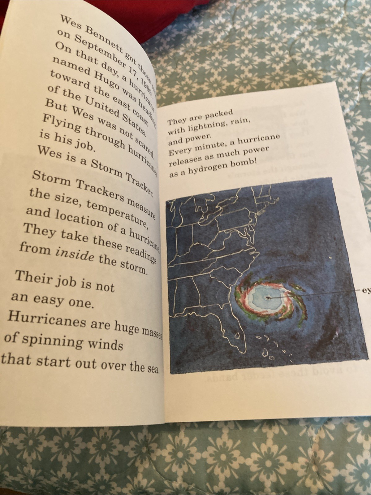 Hurricanes! (Hello Reader, Level 4) by Lorraine Jean Hopping (1995, Digest…