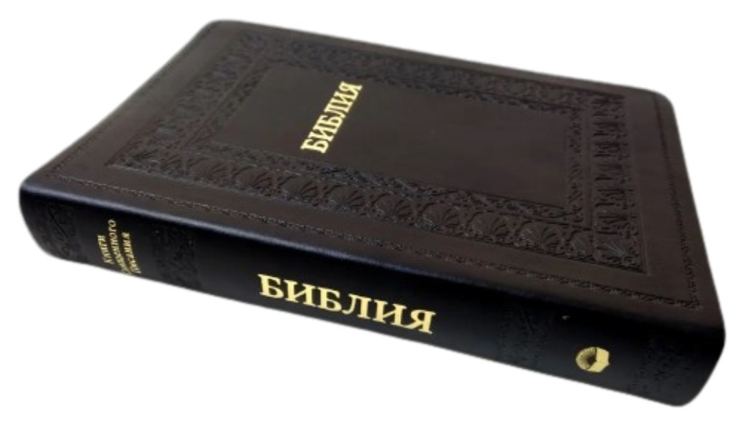 Gift Bible, Genuine Leather, size 17×24 cm, black in a case in Russian