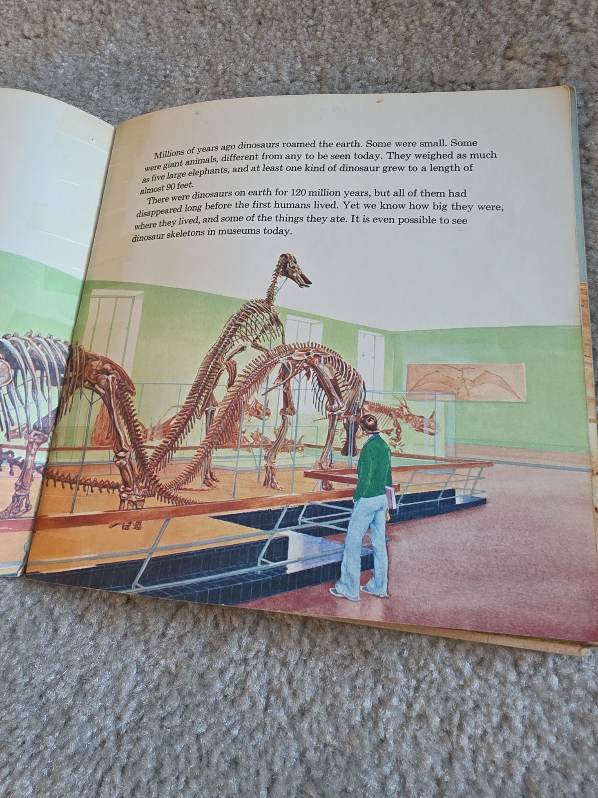 Random House Dinosaurs Book Kids Multi Vintage 1977 Peter Zallinger