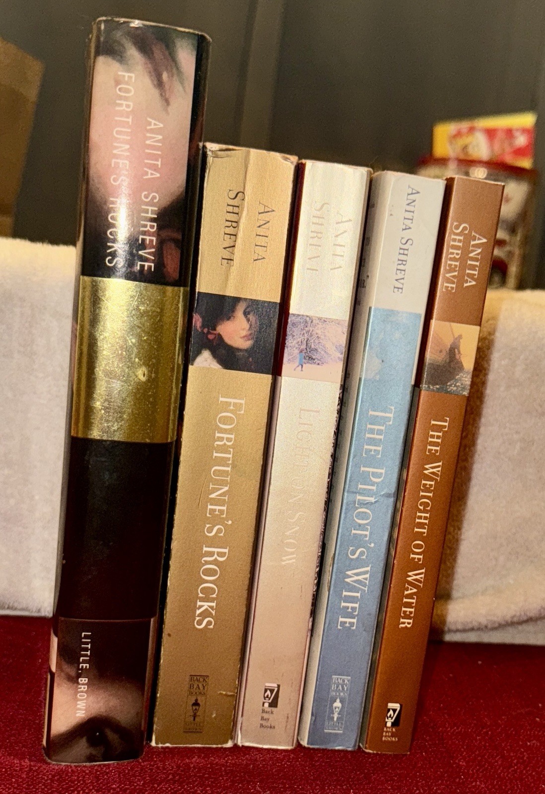 Anita Shreve Fiction Lot Of 5 HC & Paperbacks Good To VG Condition