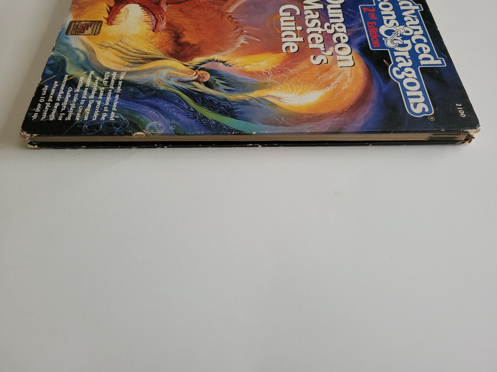 TSR 2E AD&D Advanced Dungeons & Dragons Dungeon Master’s Guide 2nd Edition
