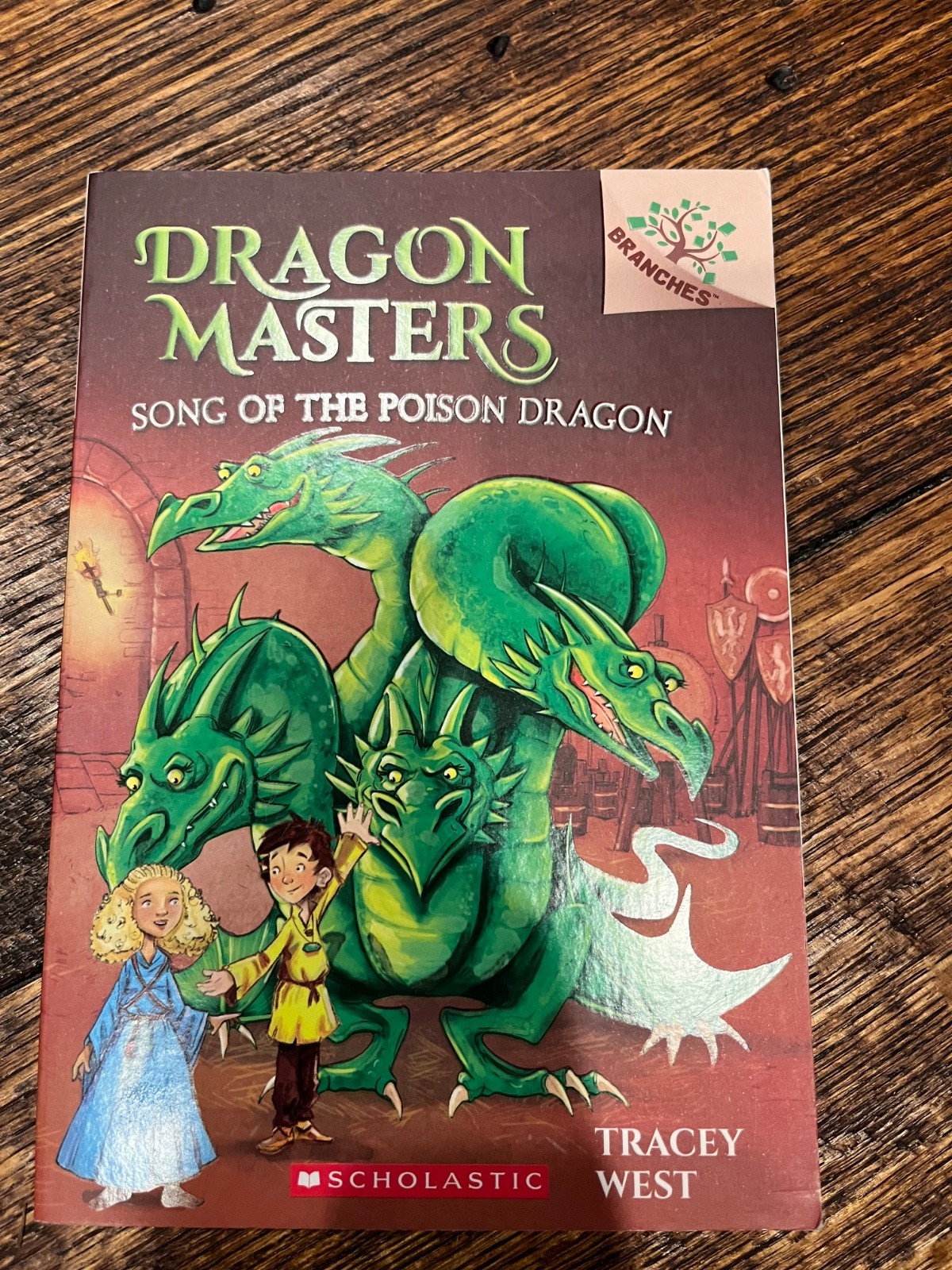 Dragon Masters Books 5-8 Scholastic Fantasy Adventure Paperback Set