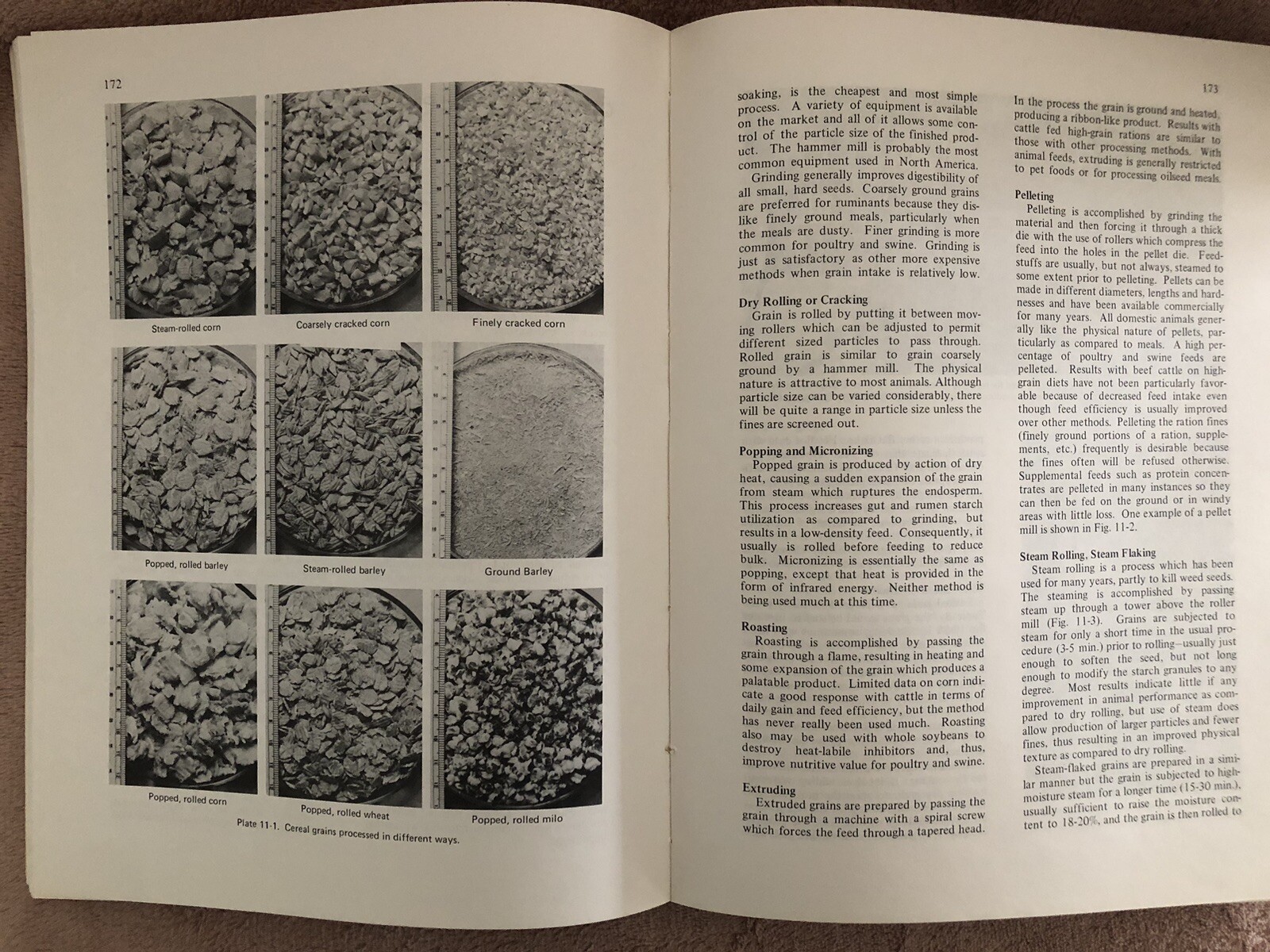 Livestock Feeds and Feeding – 1984 Paperback