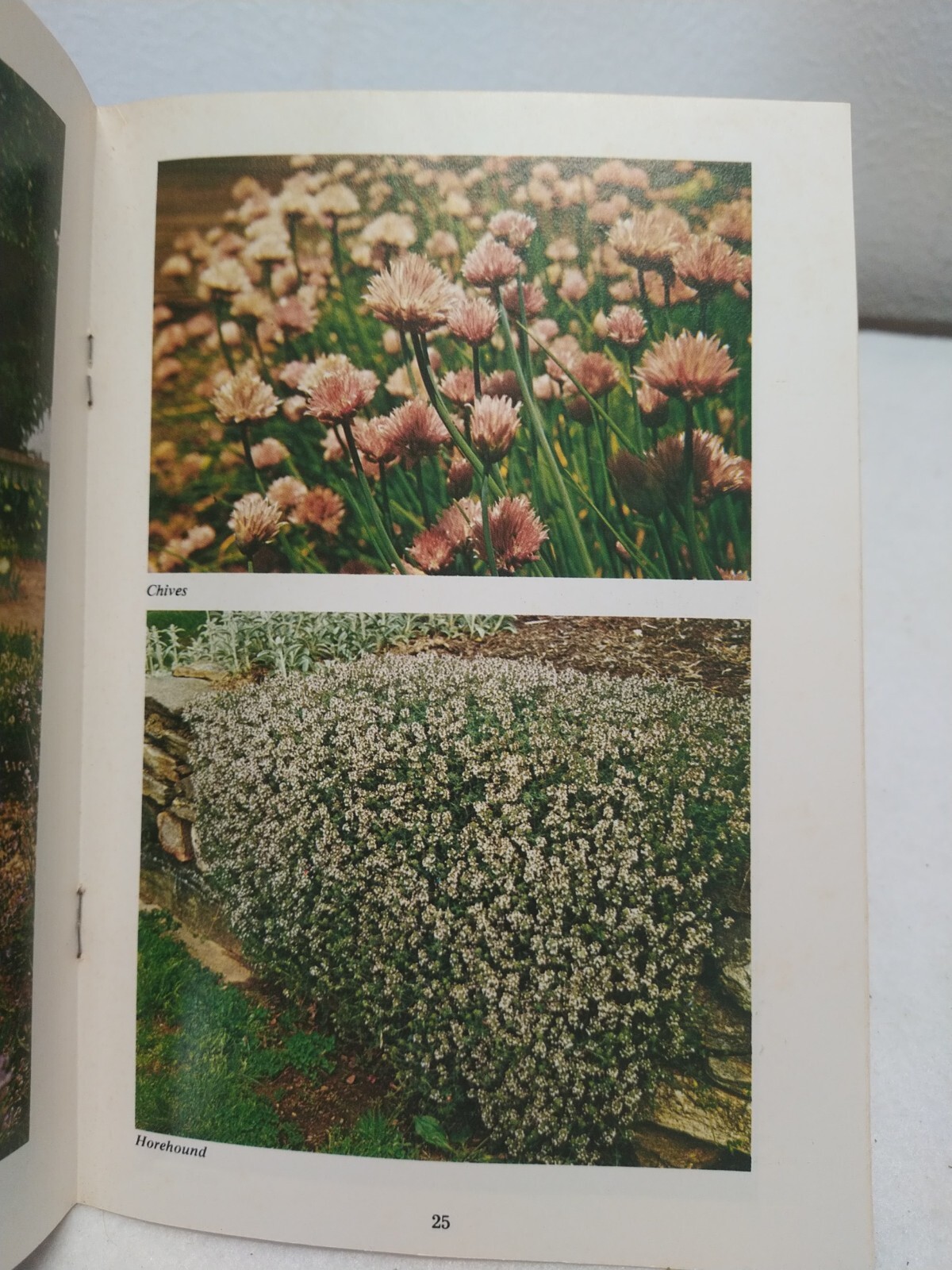 Herb Gardening Countryside Books 1976 Booklet