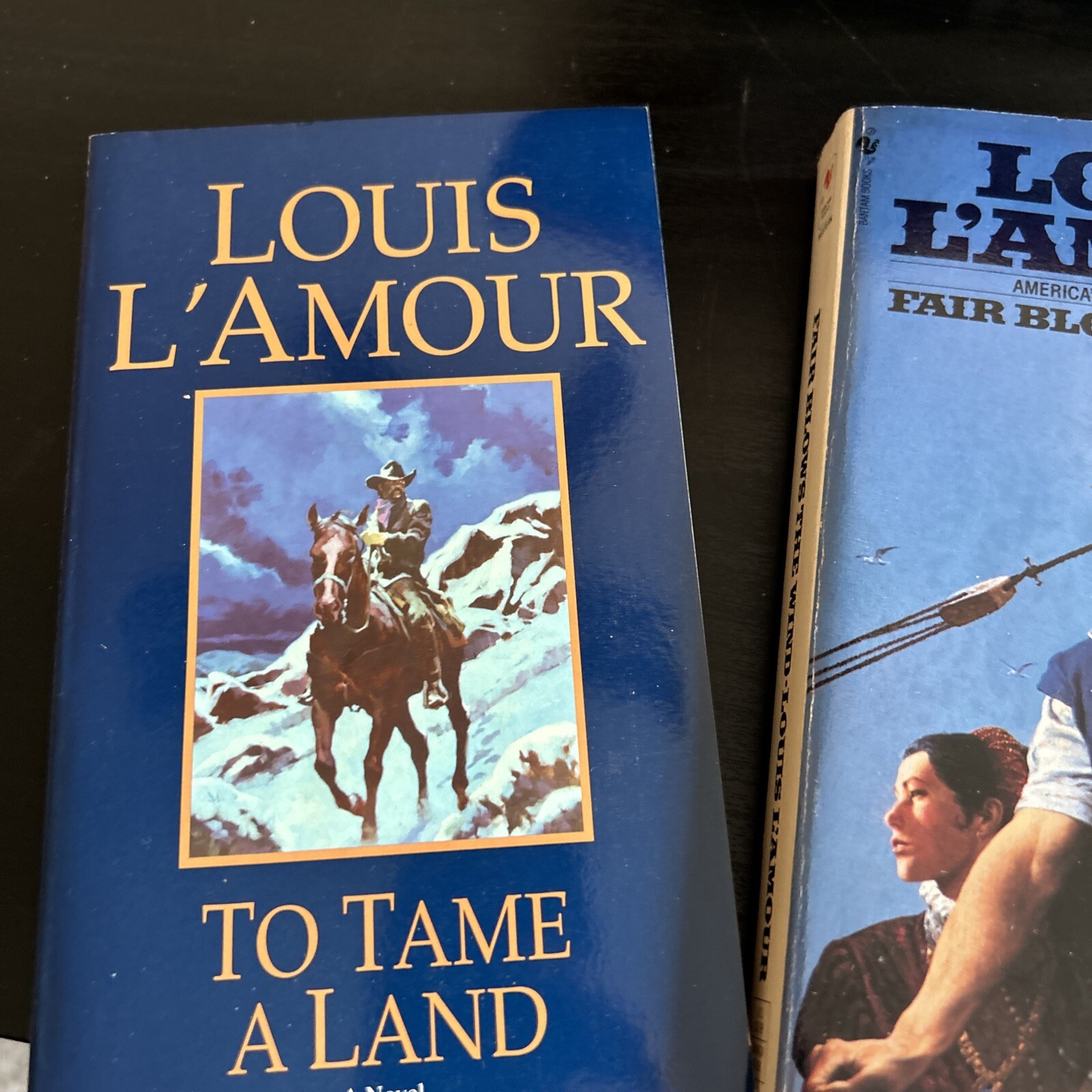 Lot of 10 Louis LAmour, paperback Western Books. Vintage Book Lot of 10