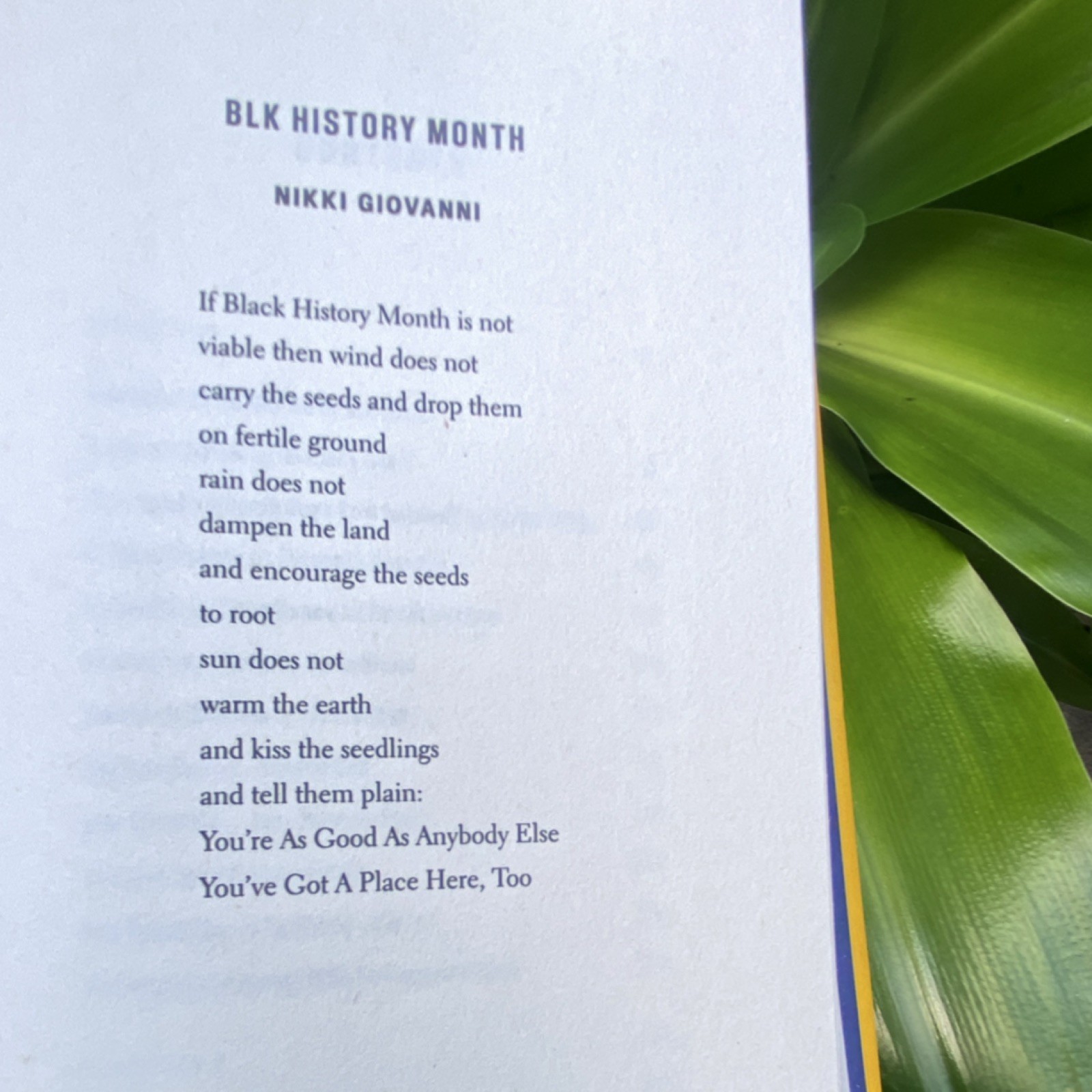 Delacorte Press You’ve Got a Place Here, Too Hardcover 1st Ed Anthology LaDelle