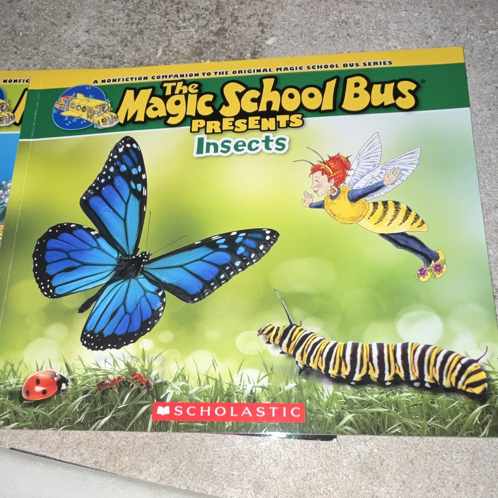 Scholastic Magic School Bus Presents 10-Book Box Set
