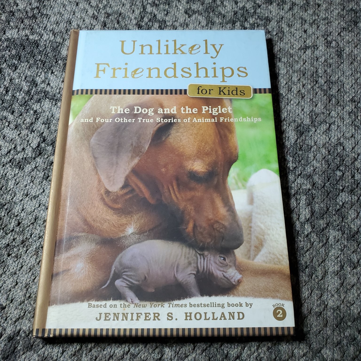 Unlikely Friendships for Kids Jennifer S. Holland 2012 Animal Stories Set