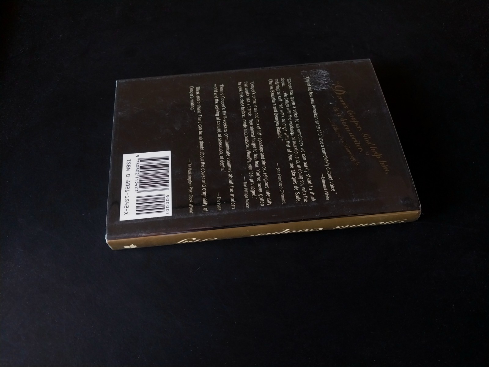 Dennis Cooper – Try – Grove Press First Edition First Printing 1994