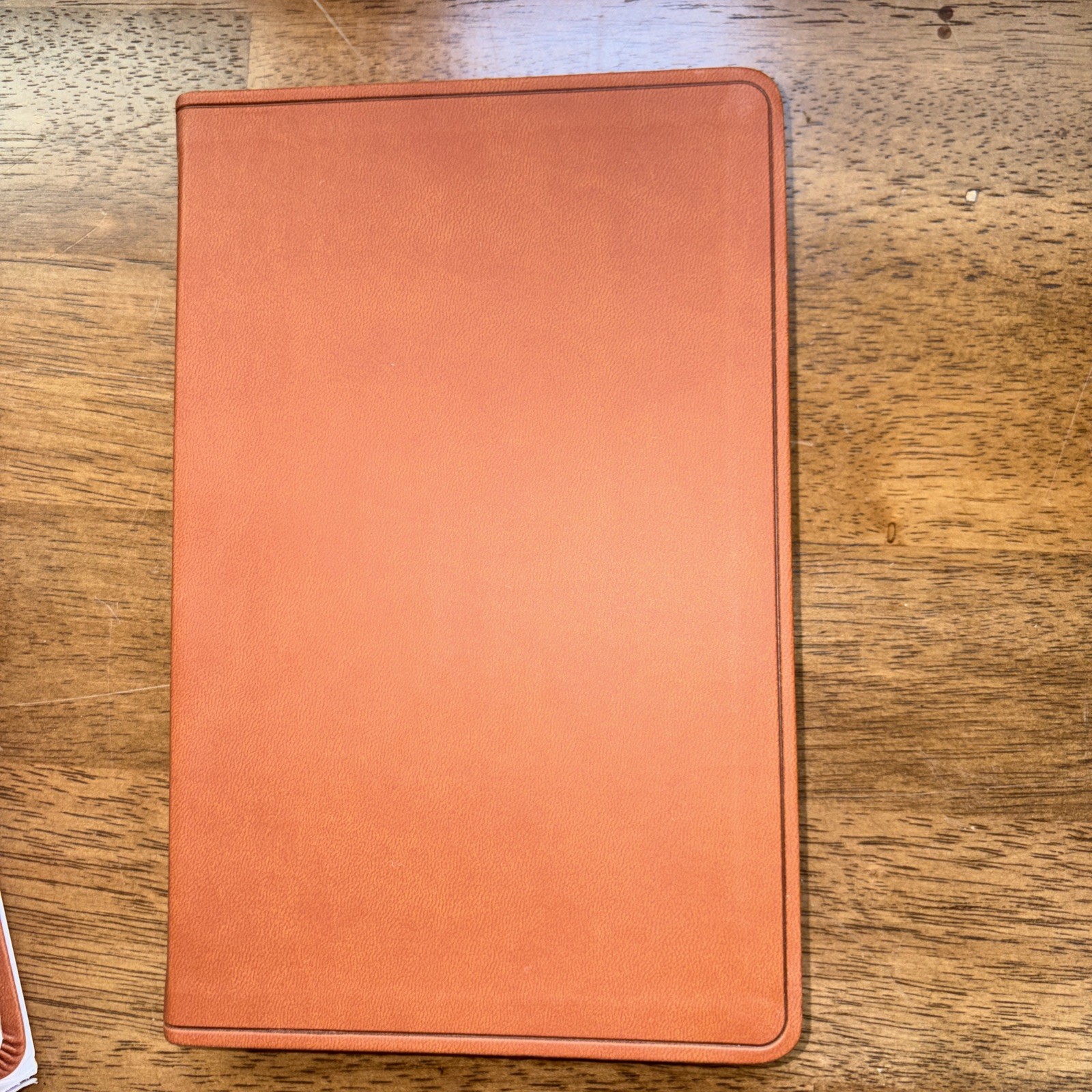 ESV Large Print Value Thinline Bible (Trutone, Camel) by Esv Bibles: New