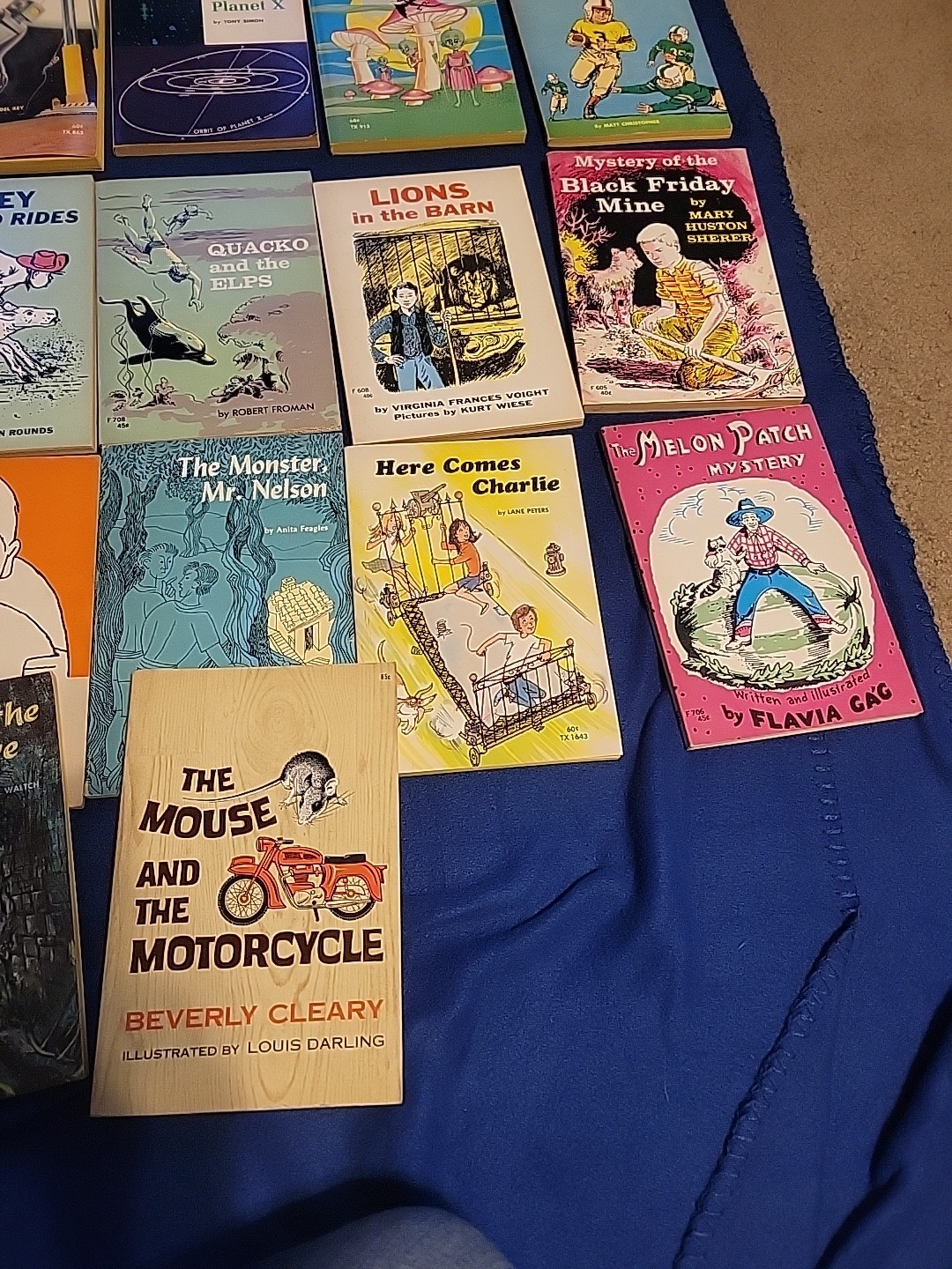 Vintage Young Readers Press ,scholastic And Others Pb Books