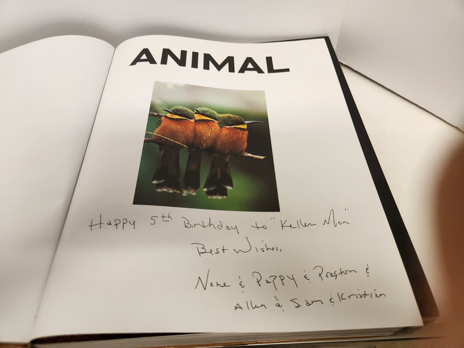 Smithsonian Animal The Definitive Visual Guide HC DK 2011 Illustrated Hardcover