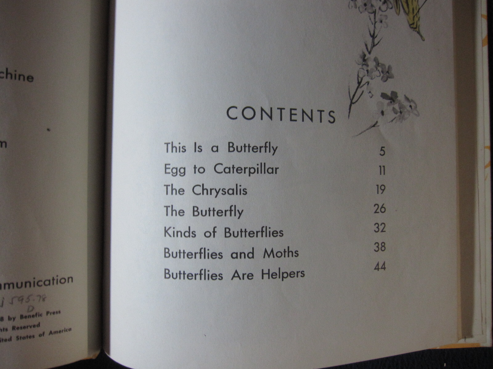 What is a Butterfly (The What is it series) Darby, Gene 1958